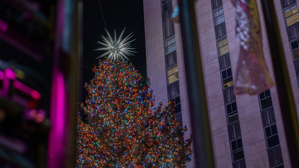 a large christmas tree in front of a tall building