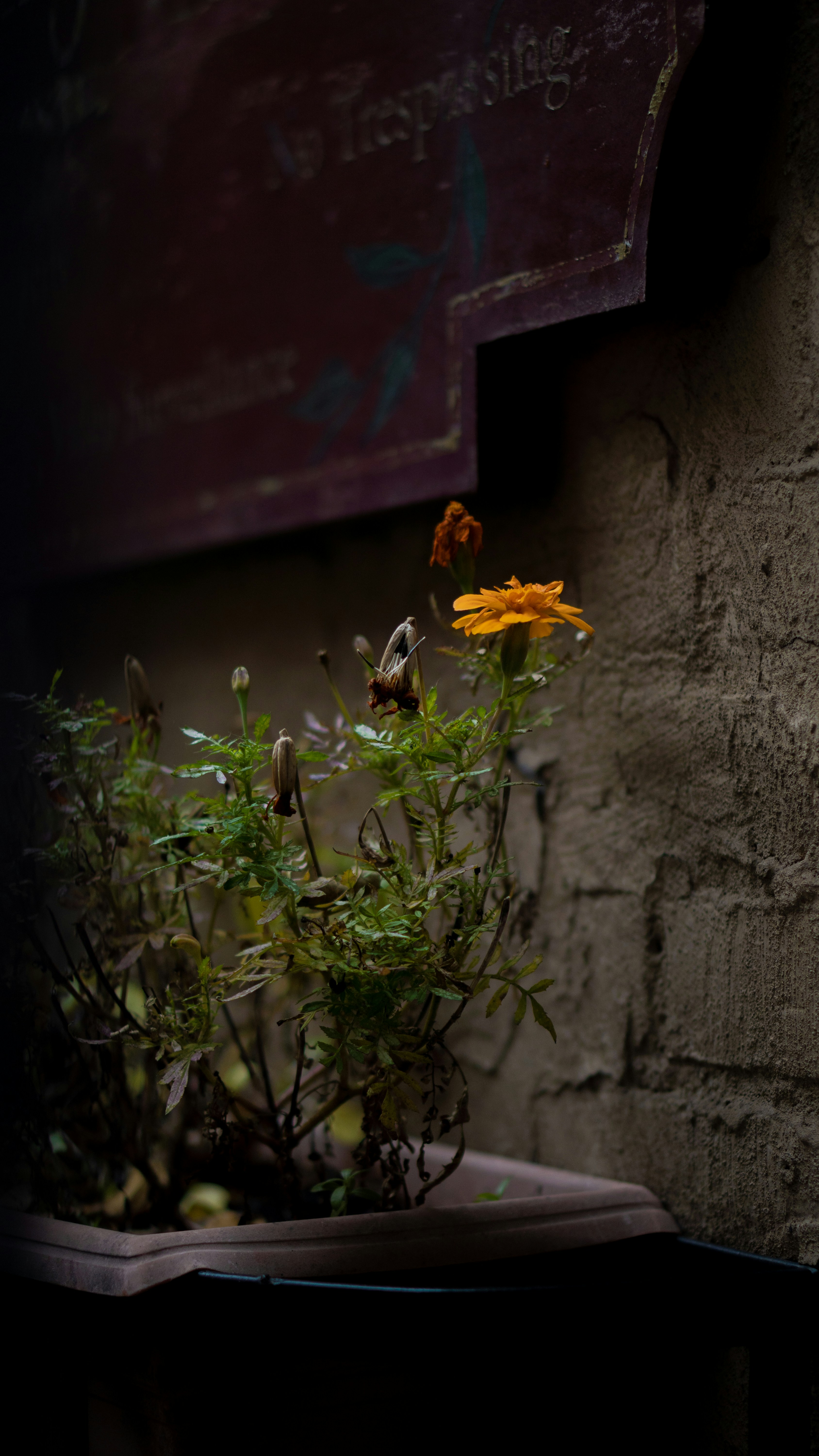 Photo by nickfuentes_