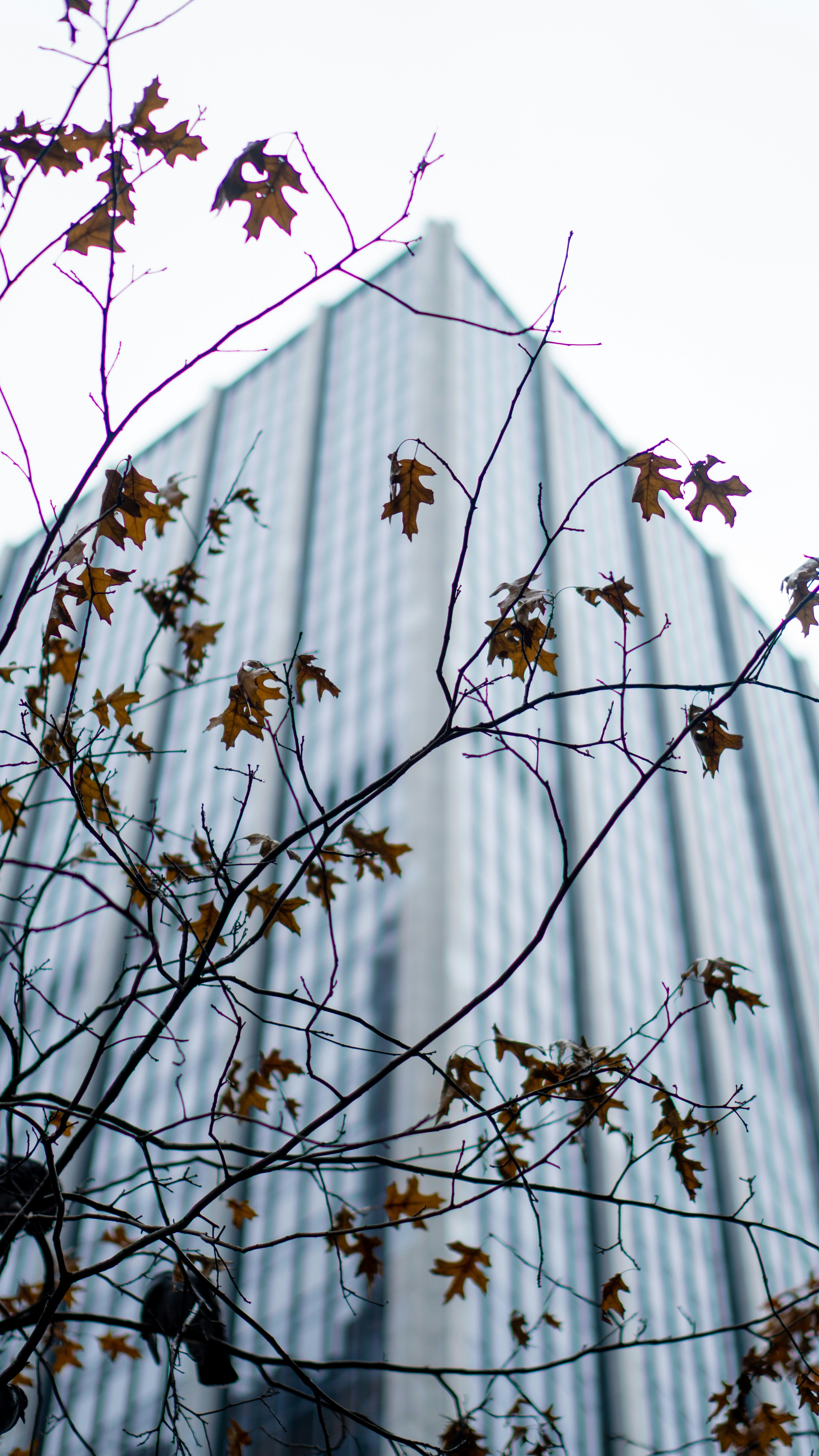 Photo by nickfuentes_