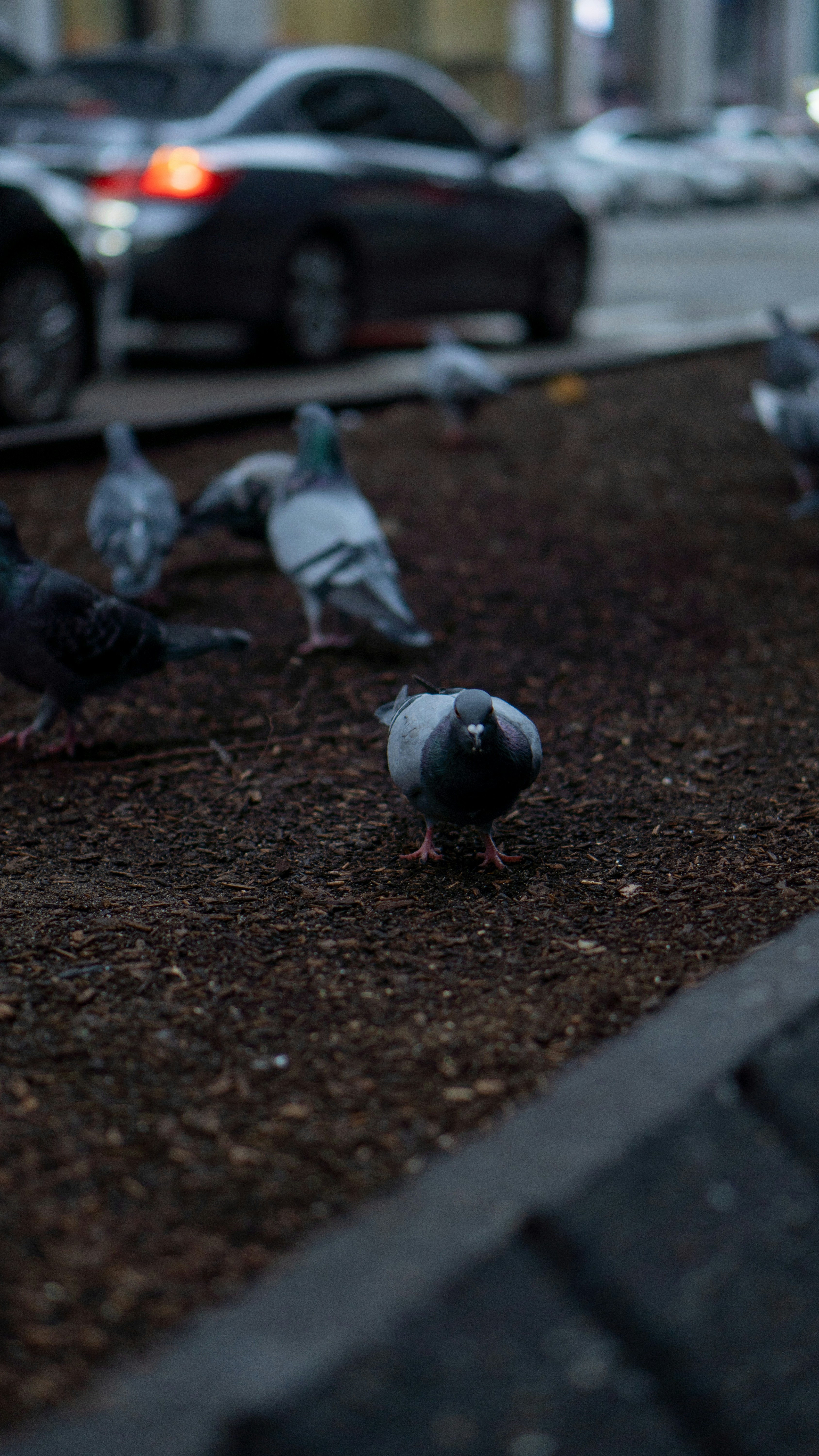 Photo by nickfuentes_