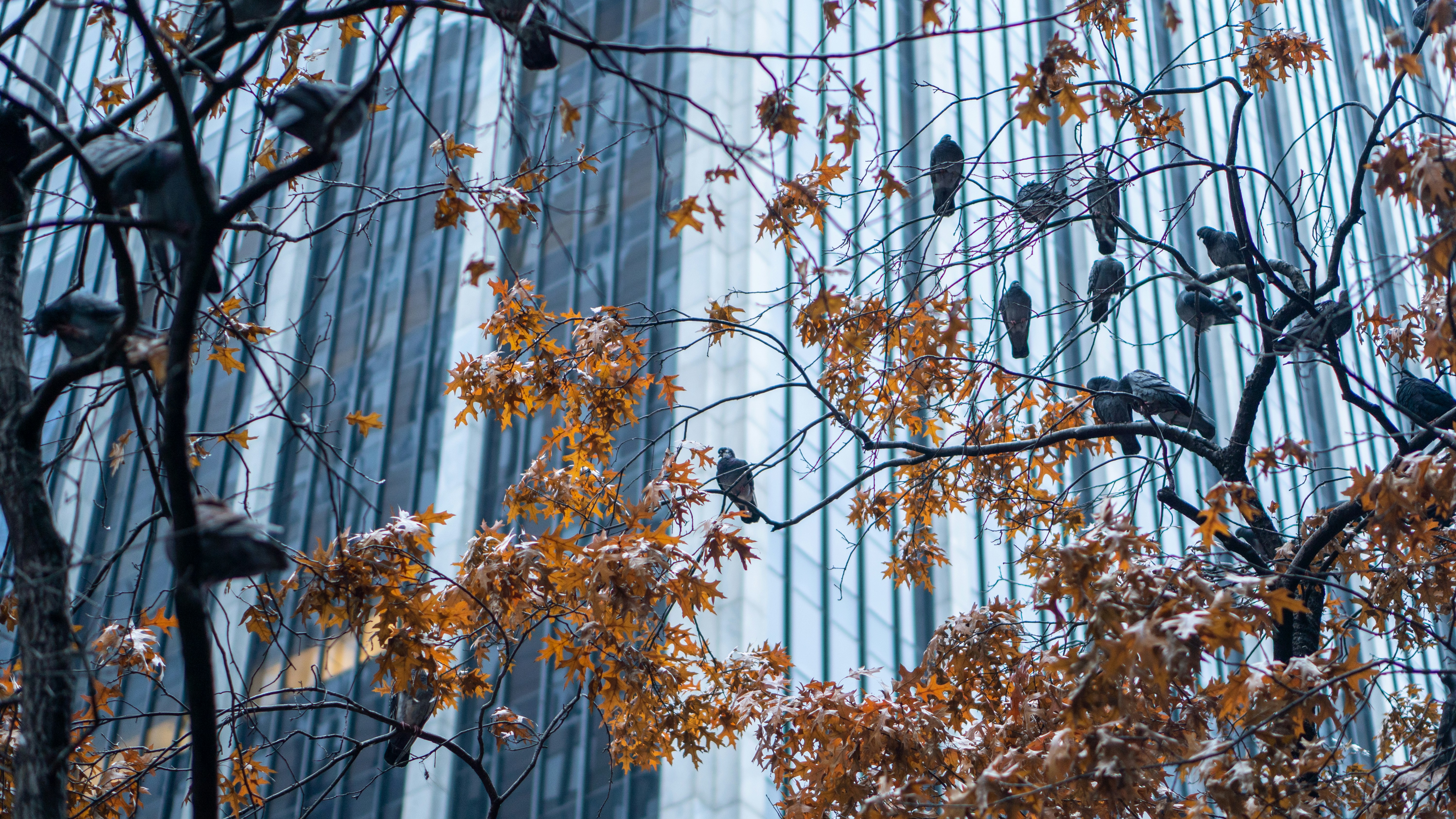 Photo by nickfuentes_