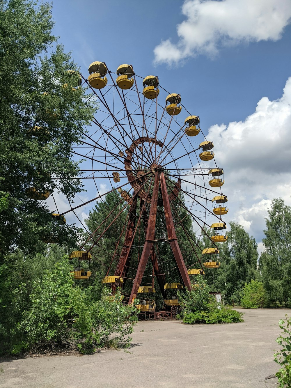 a large ferris wheel sitting in the middle of a forest