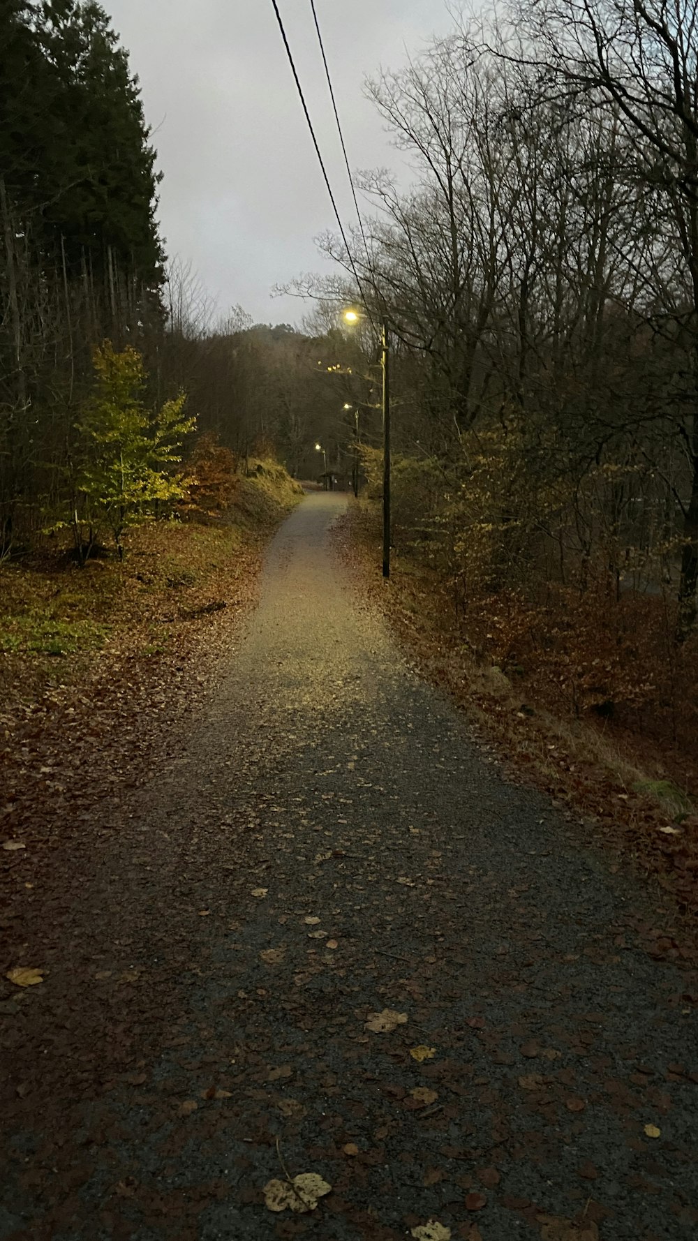 uma estrada com uma luz de rua ao lado dela