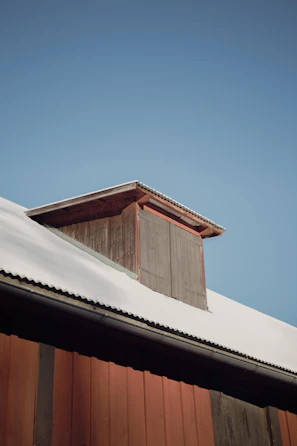 Rustic wooden barn with livestock sheltering inside on a crisp morning.
