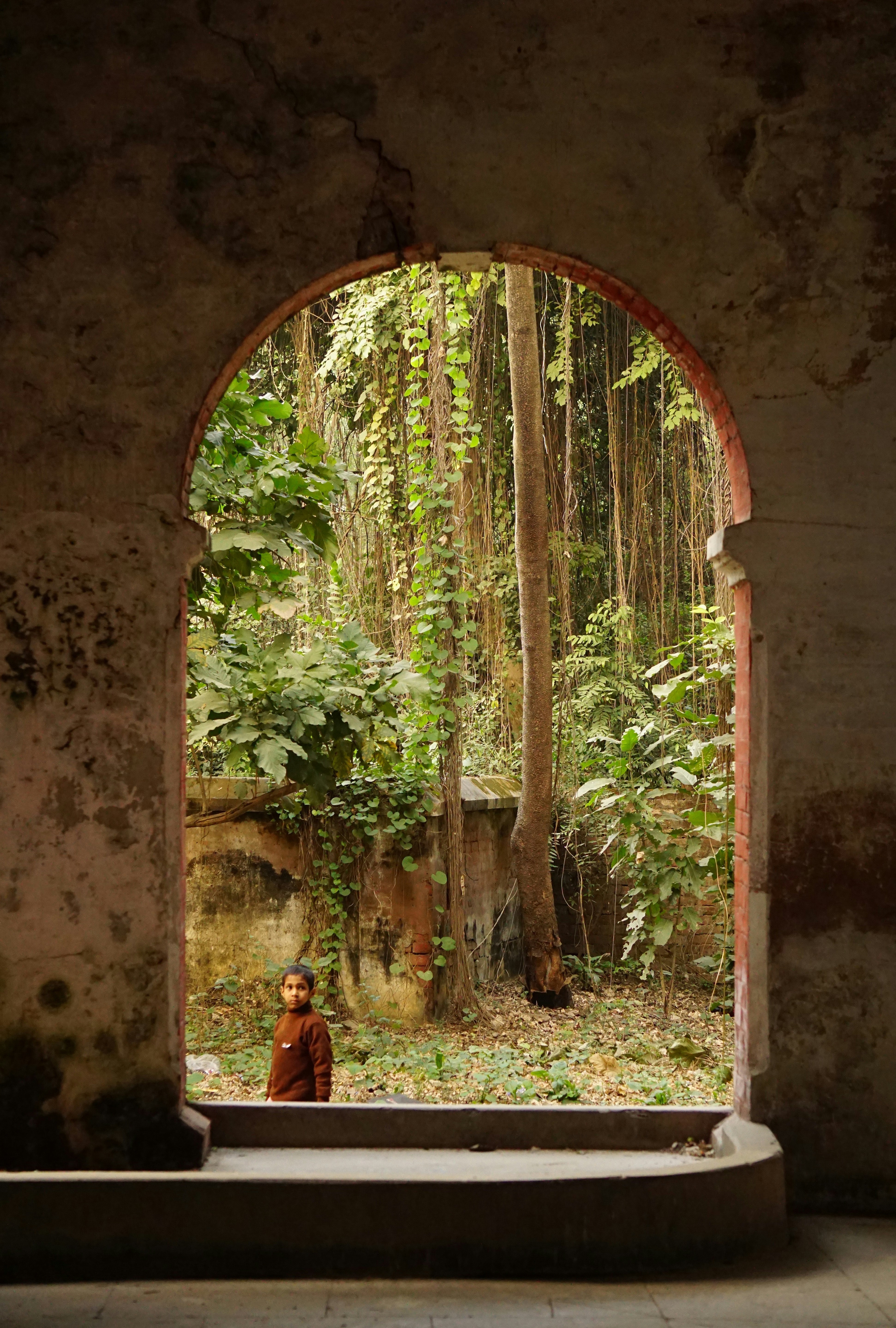 La guía definitiva de los 12 arquetipos de Carl Jung: el mapa para descubrir tu verdadero yo