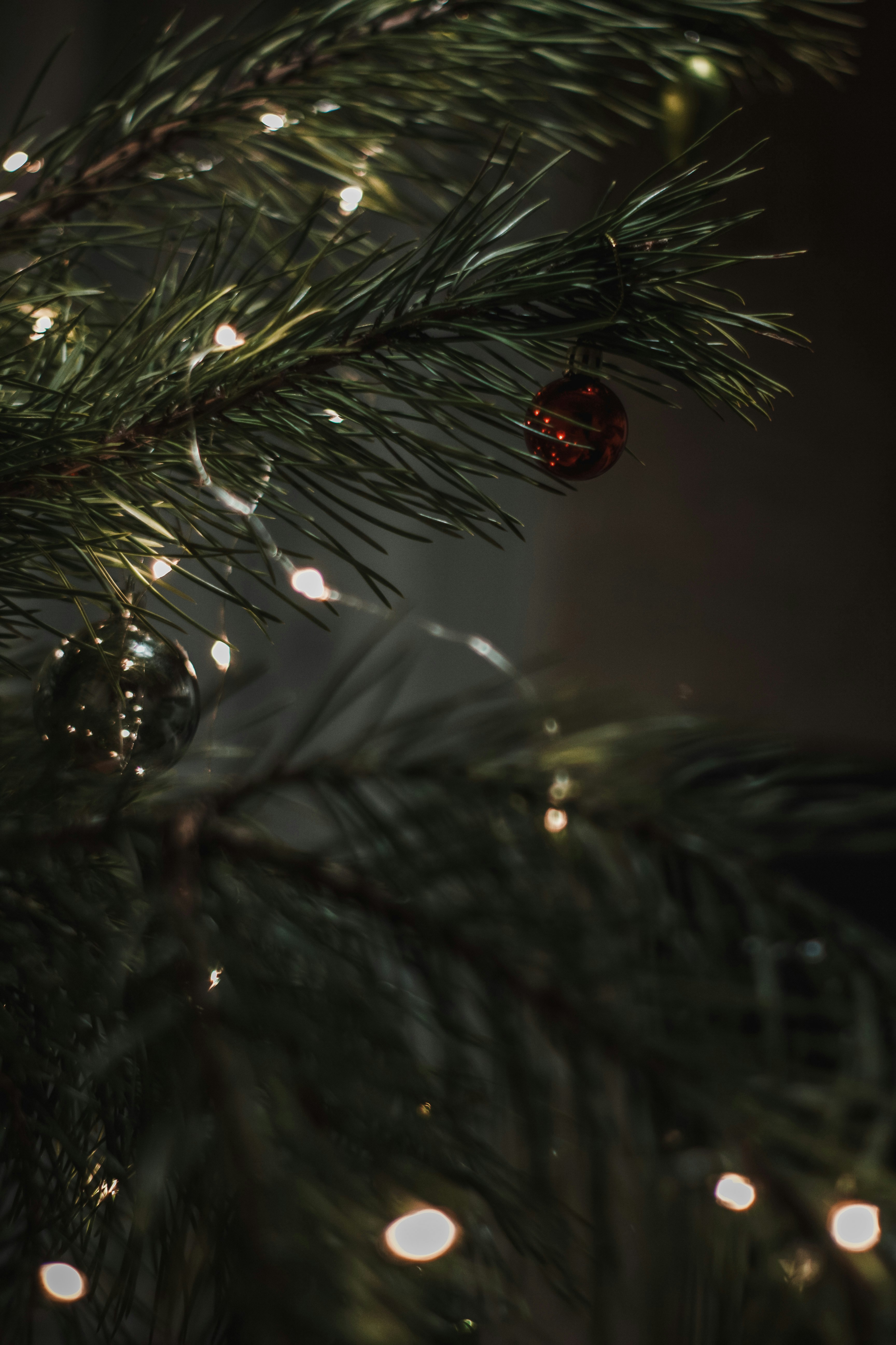 Photo by svitlana_rusak