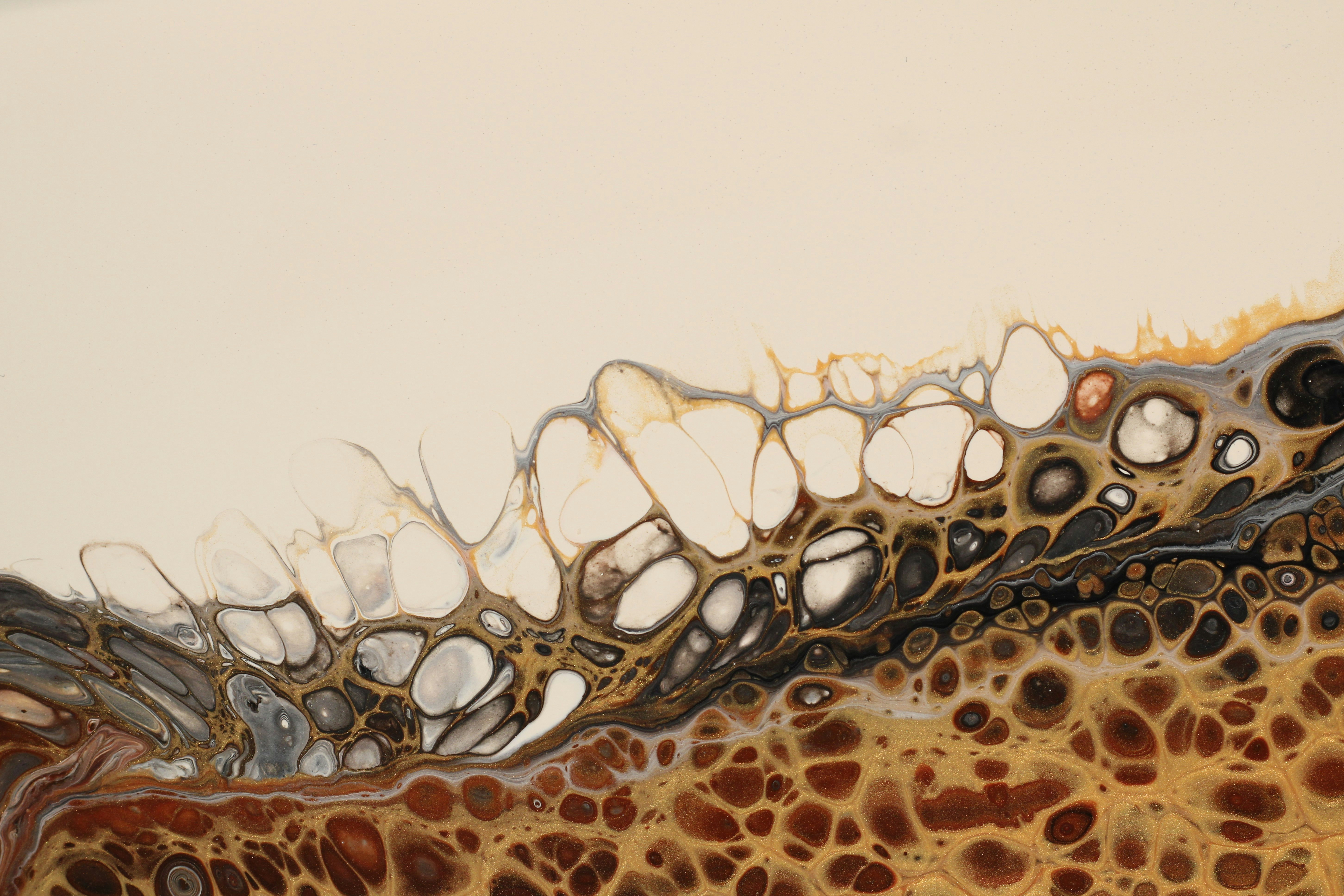 Photo by susan_wilkinson