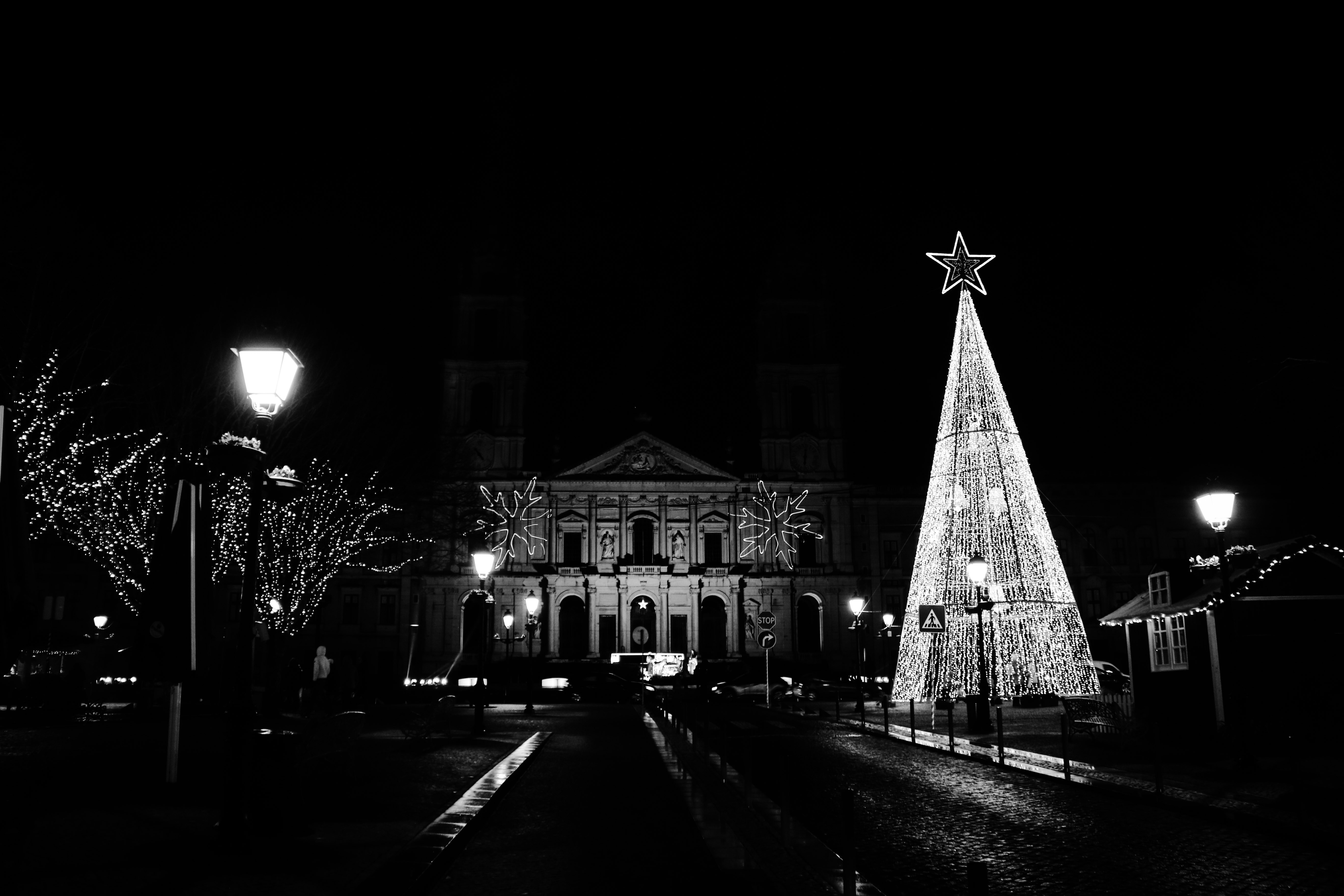 Una foto en blanco y negro de un árbol de Navidad iluminado