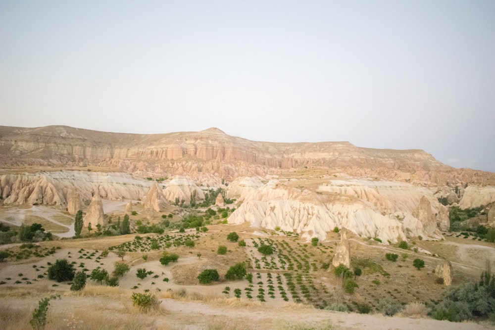 a view of a valley with trees and mountains in the background