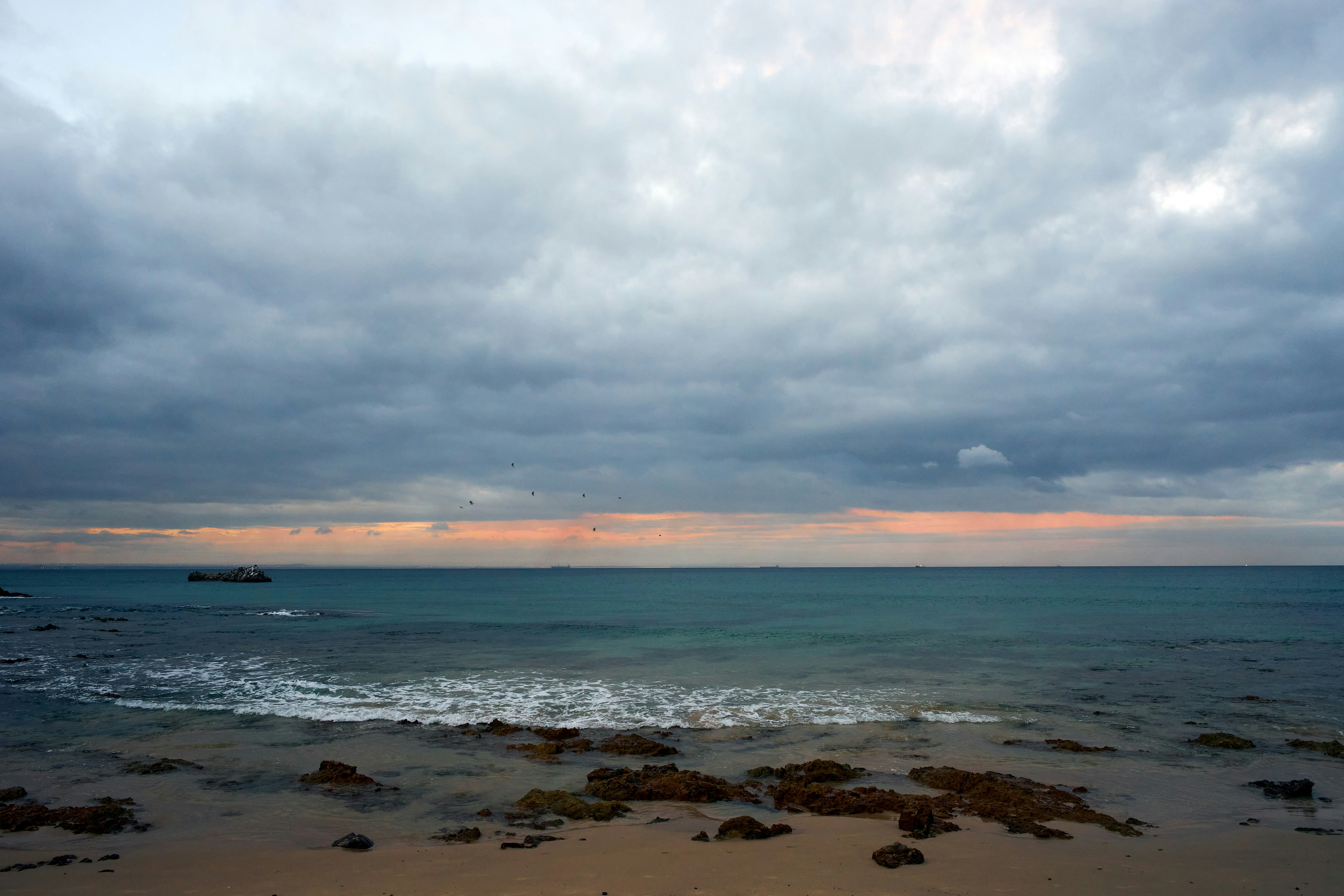 Photo by wolfgang_hasselmann