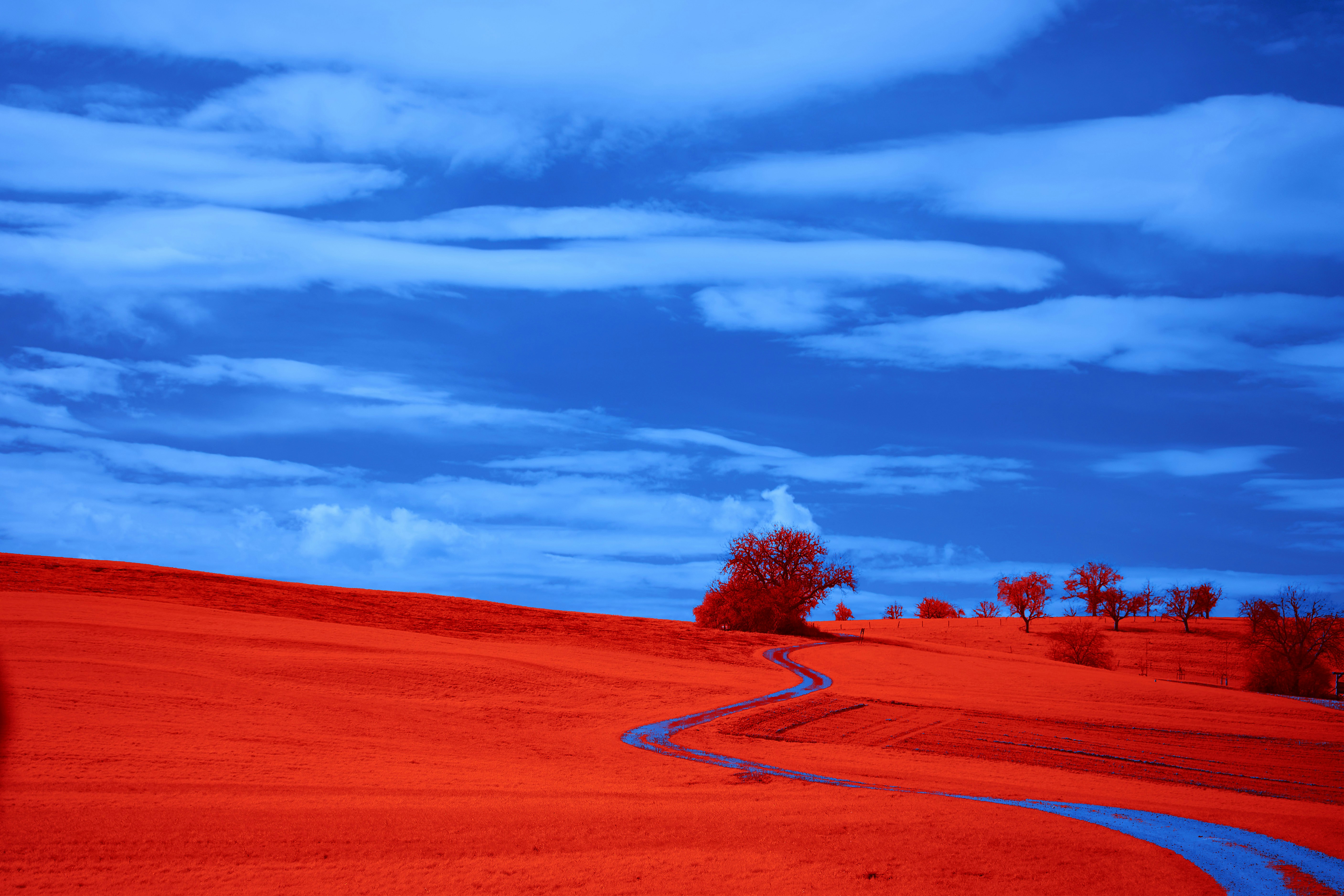 Photo by wolfgang_hasselmann