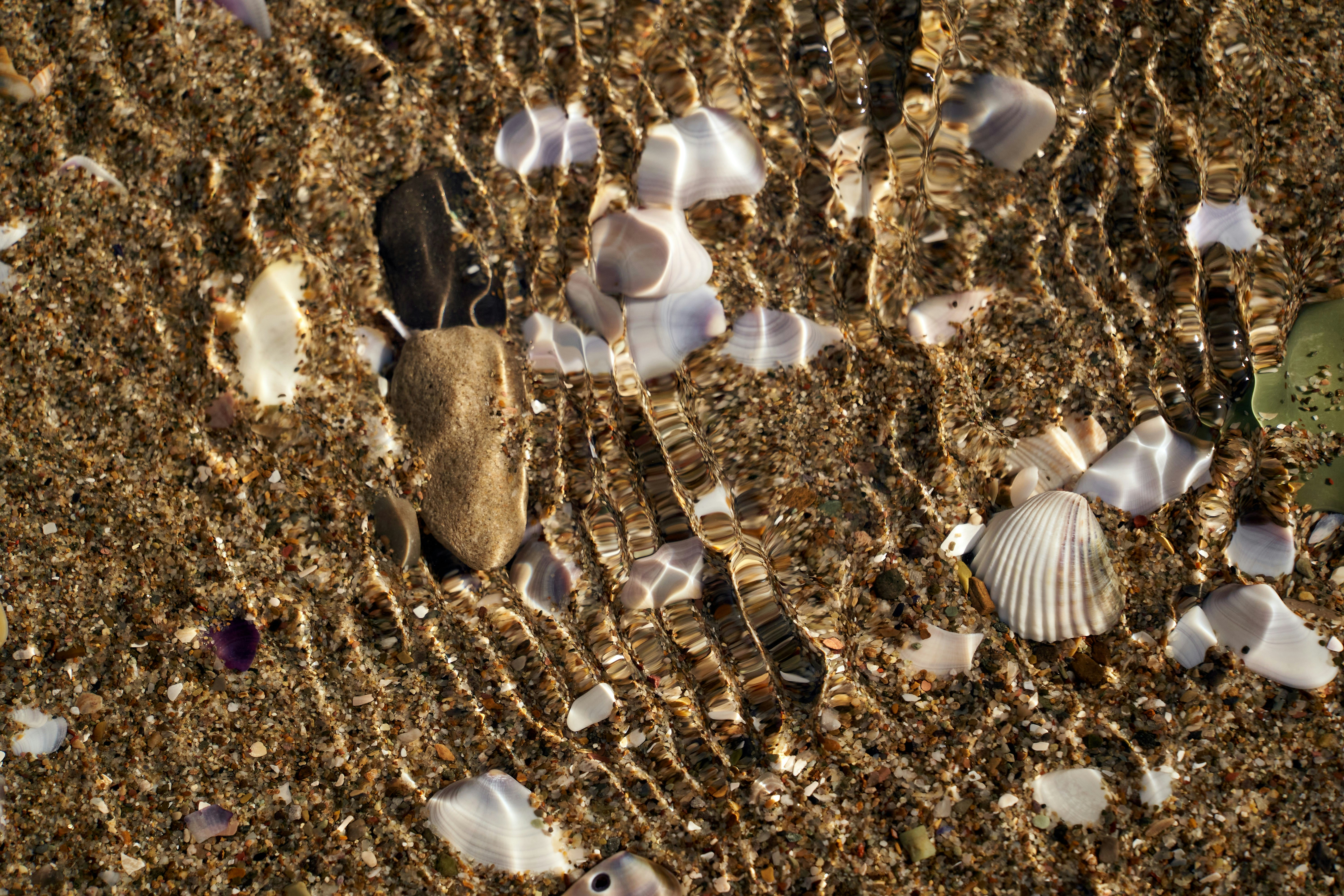 Photo by wolfgang_hasselmann