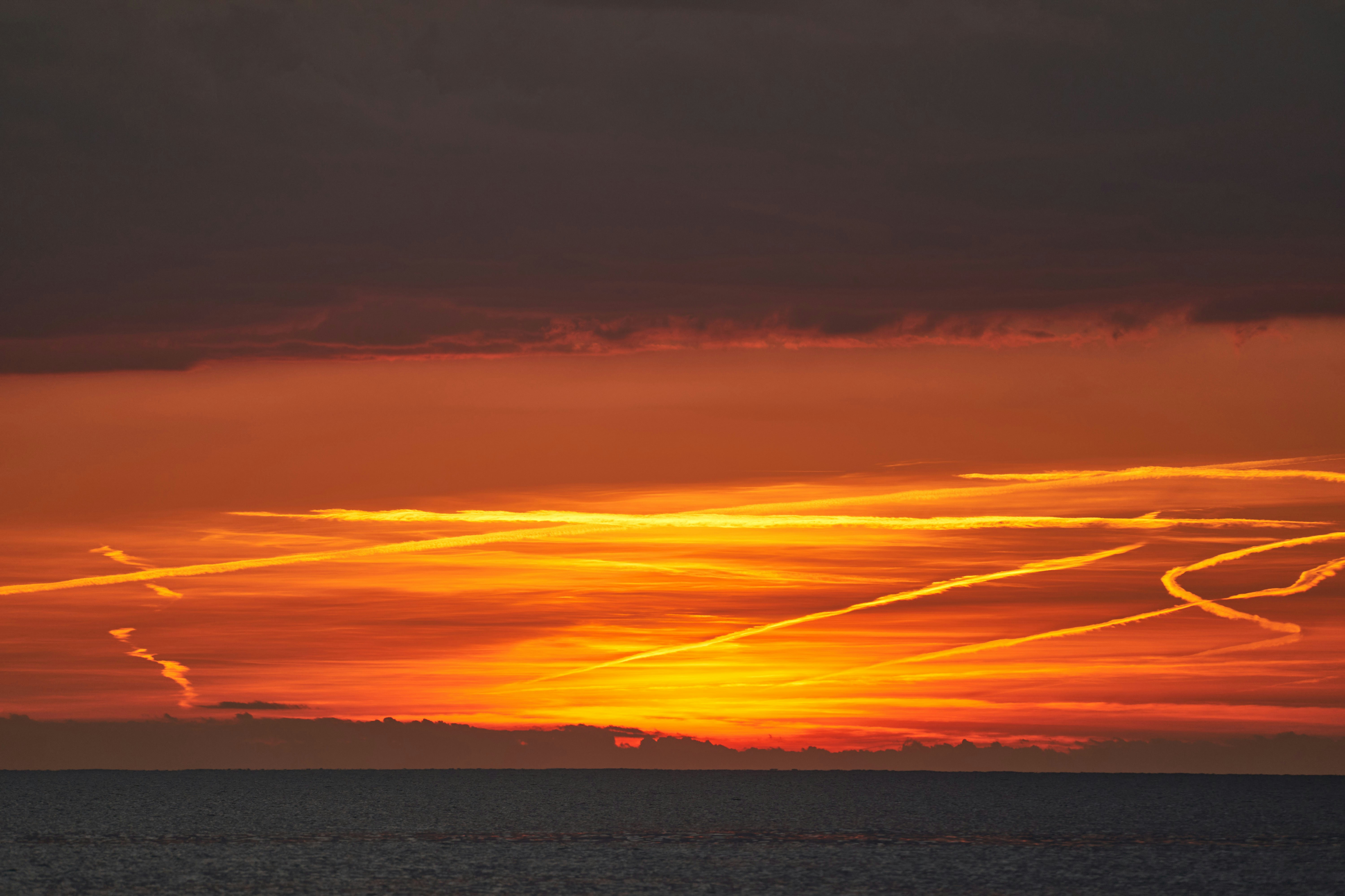 Photo by wolfgang_hasselmann