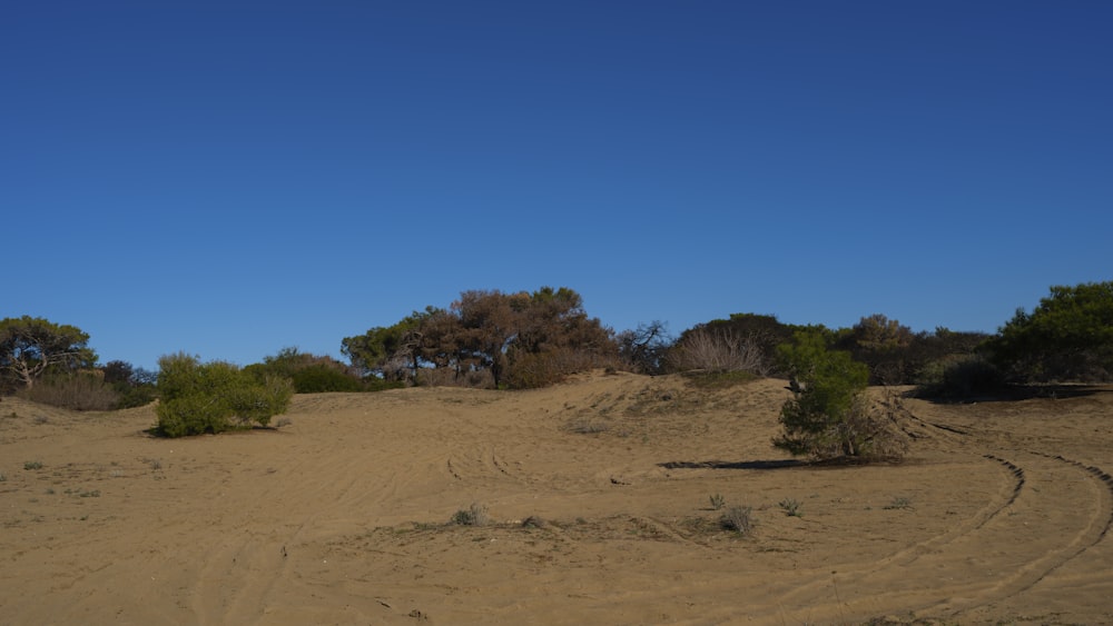 a dirt road in the middle of a desert