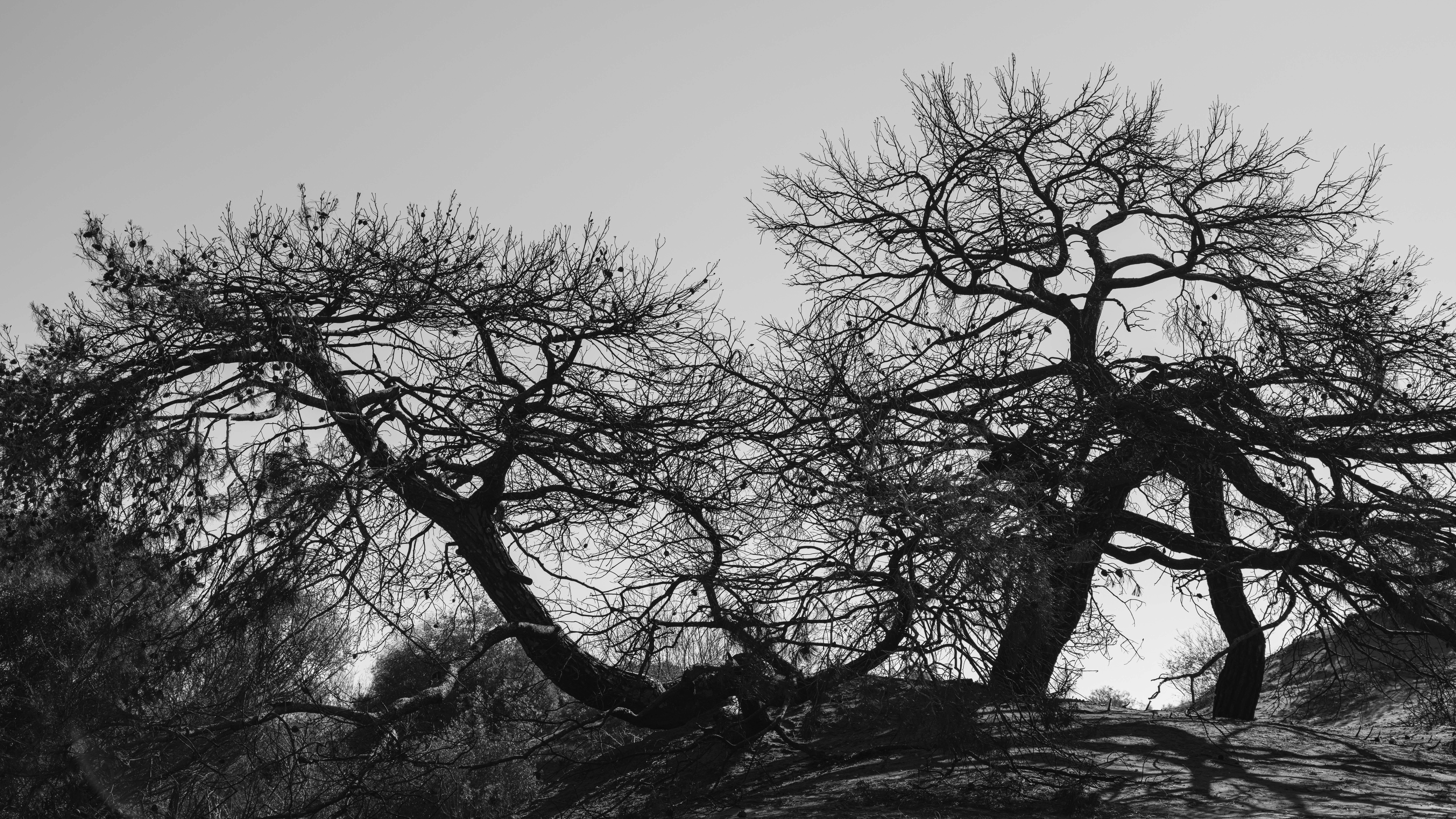 Photo by enginakyurt