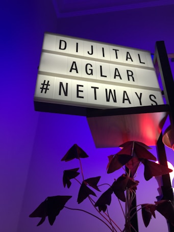 A lightbox with the text 'Dijital Ağlar #NETWAYS' is prominently displayed, surrounded by a purple and red lighting ambiance. Below the lightbox, there are dark, pointed leaves of a plant.
