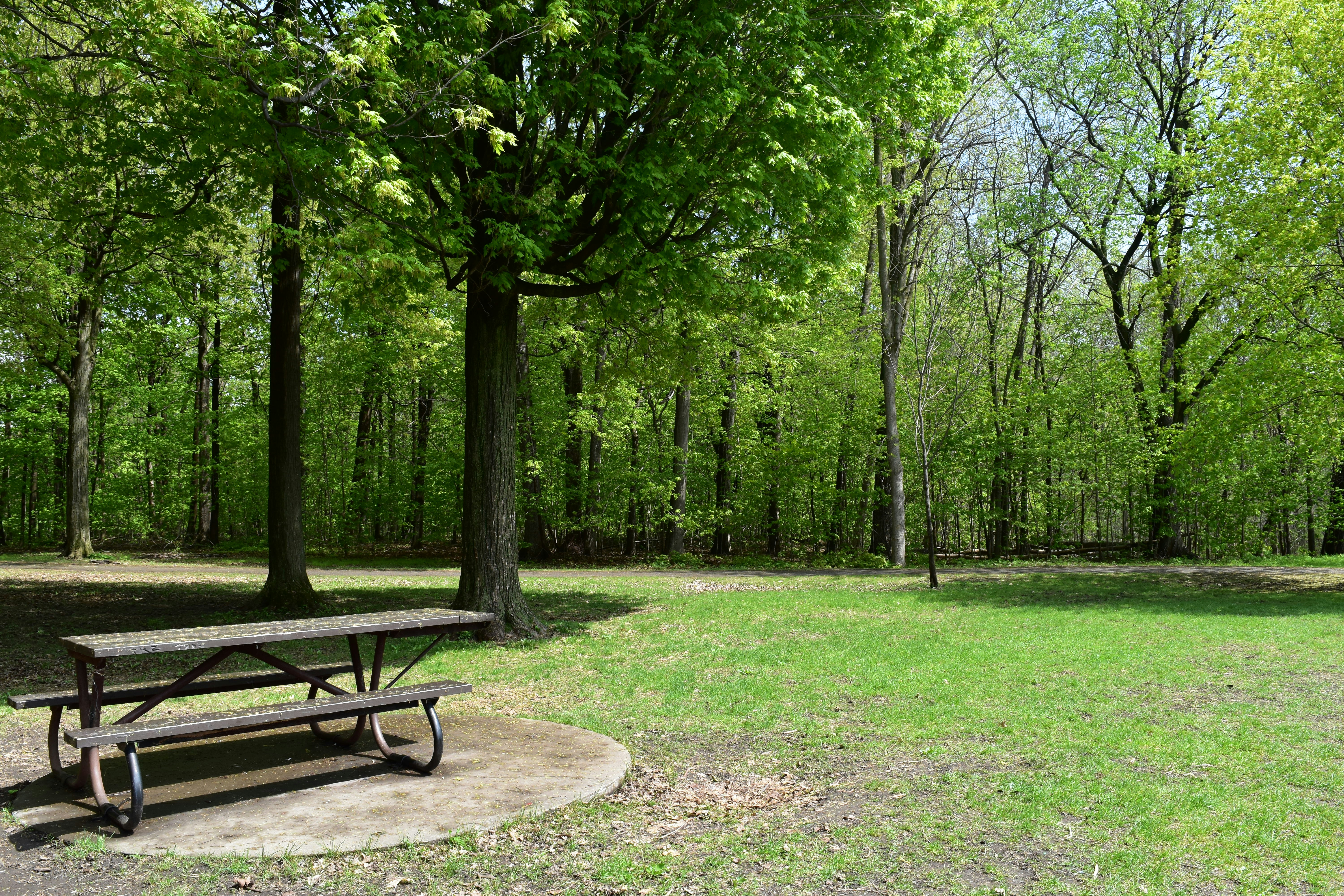 Bradley County Park