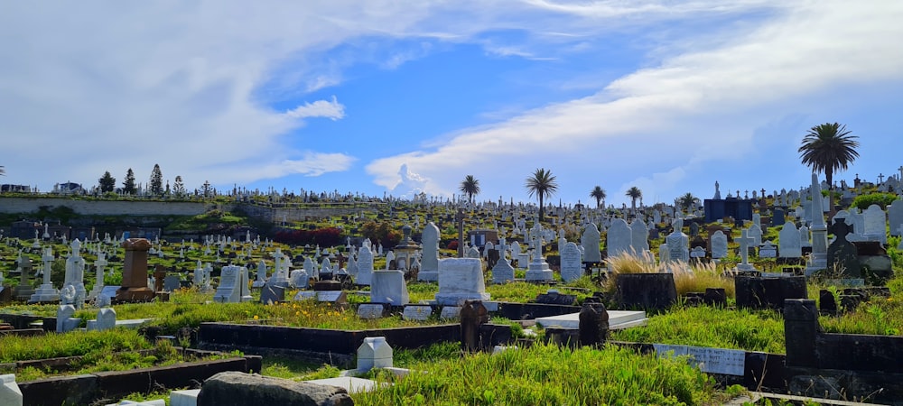 um cemitério cheio de muitas lápides sob um céu azul