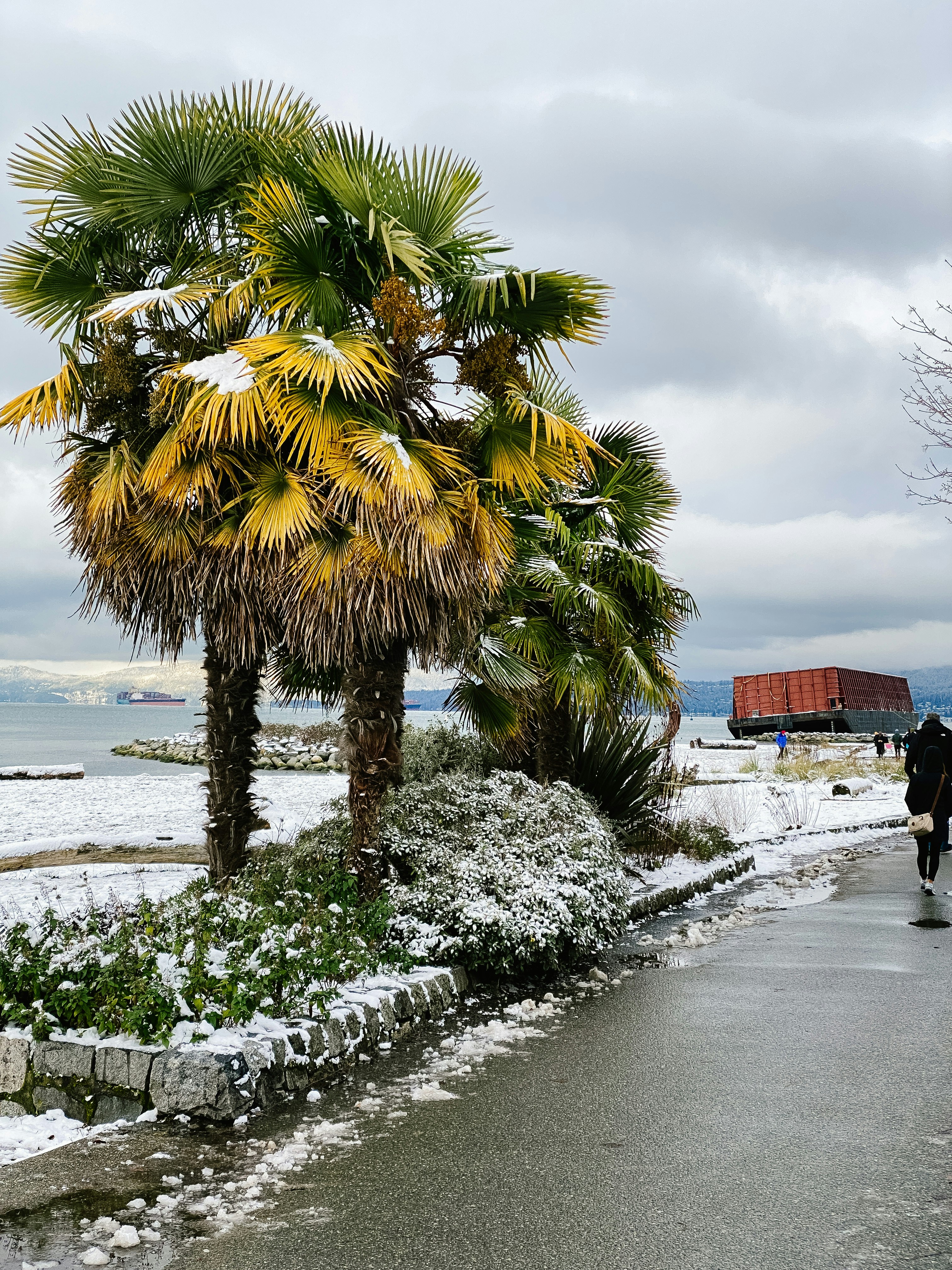 Differences in the Definition of "Cold"