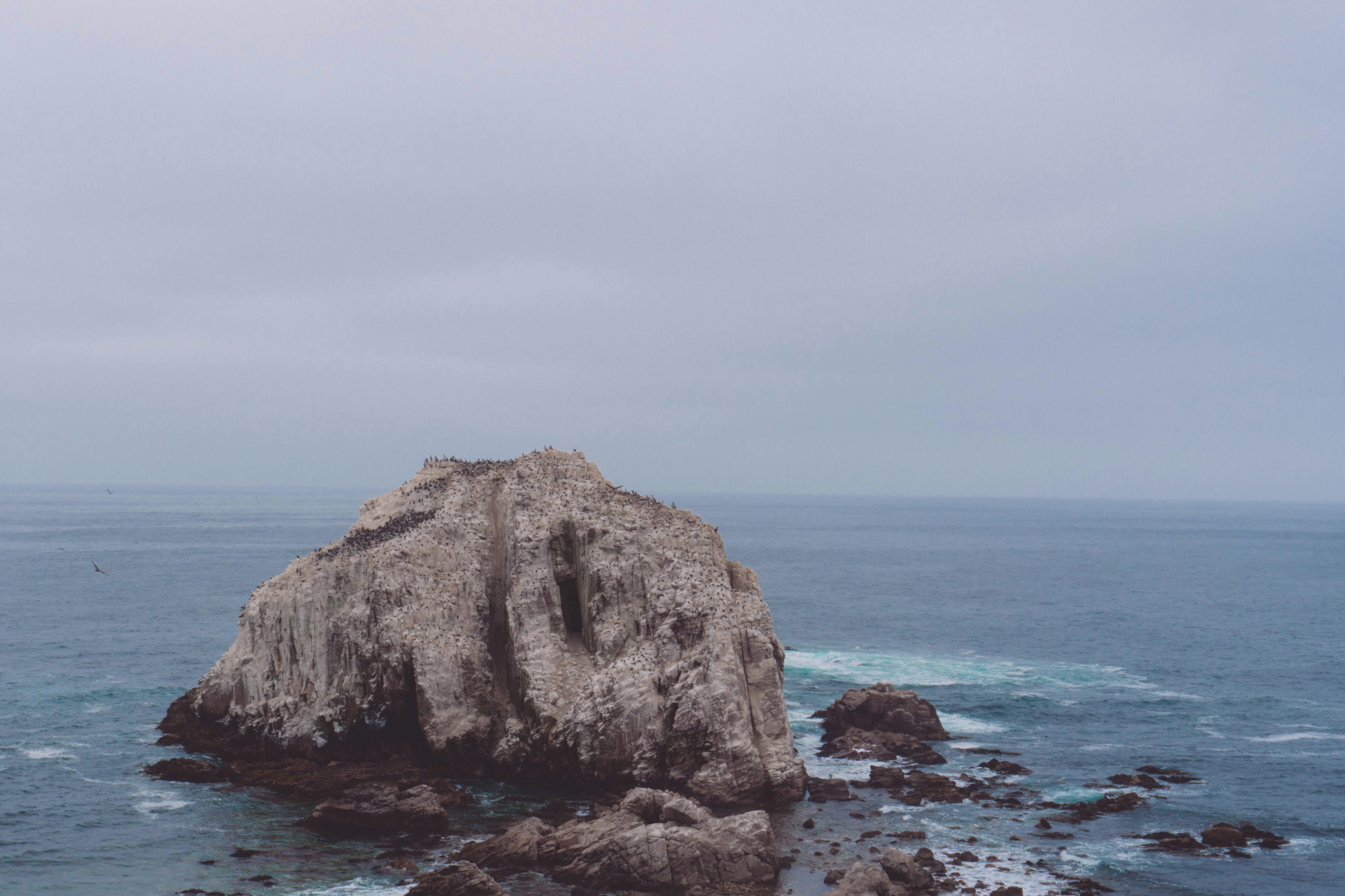 Photo by gustavo0351