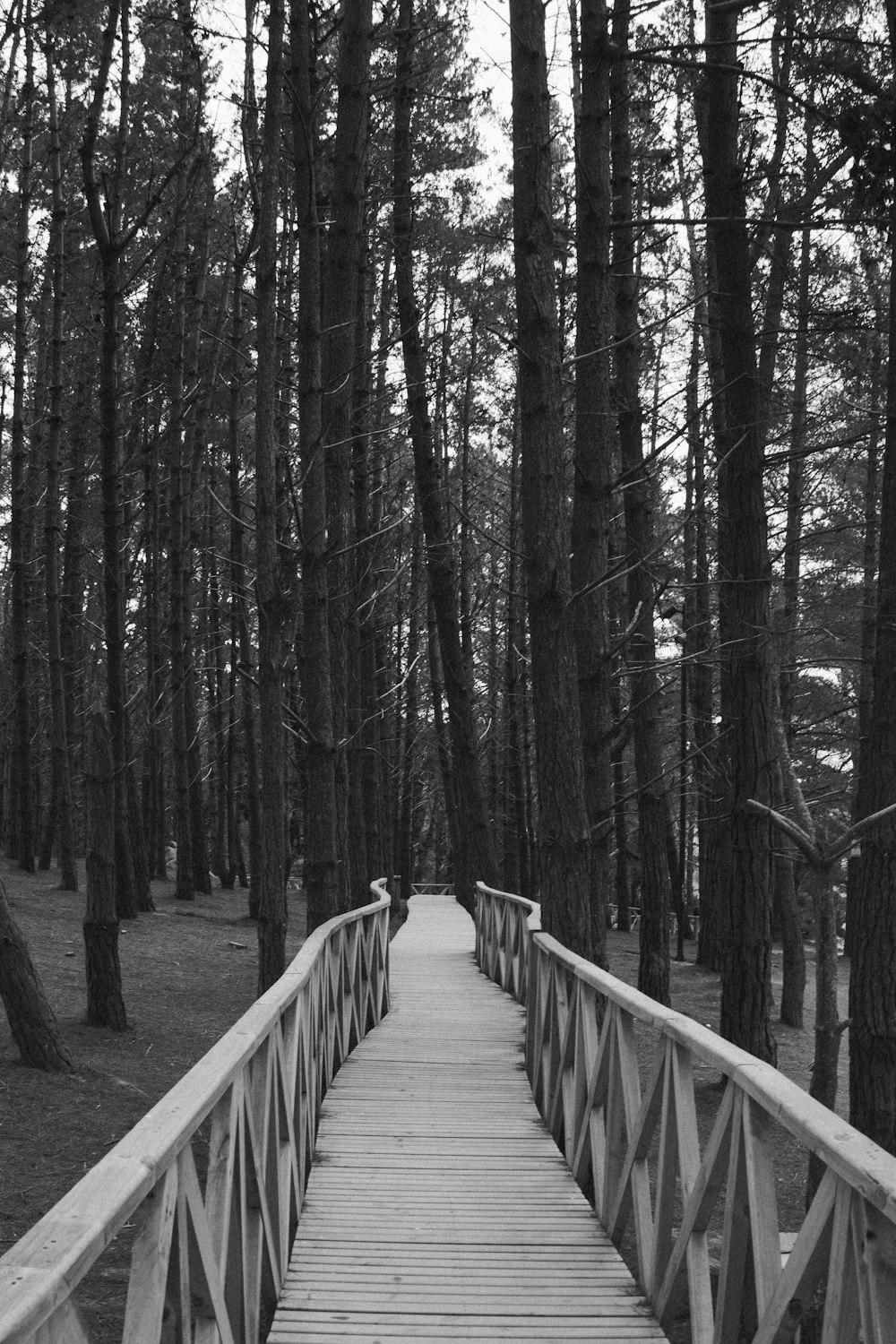 a wooden bridge in the middle of a forest