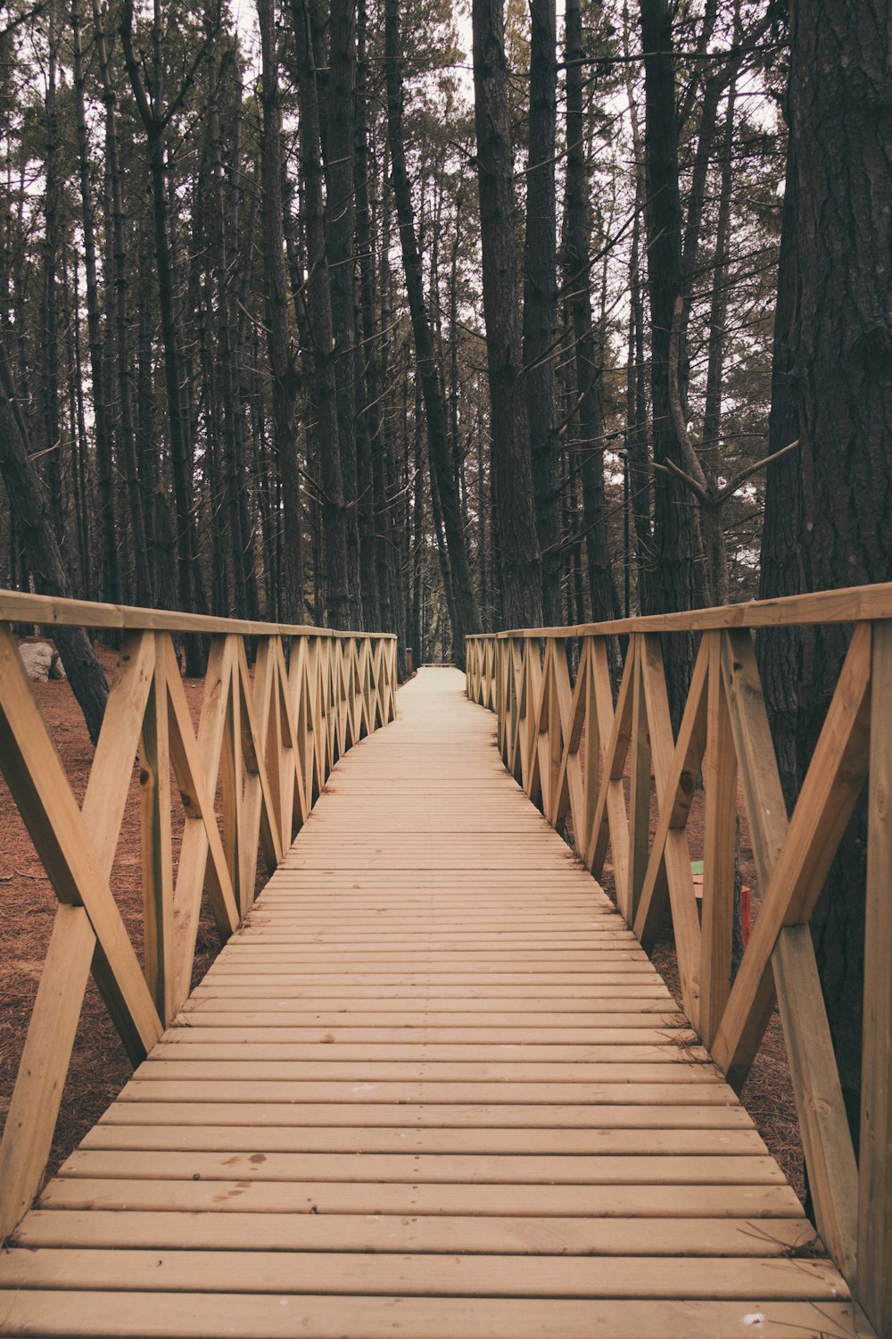 a wooden bridge in the middle of a forest