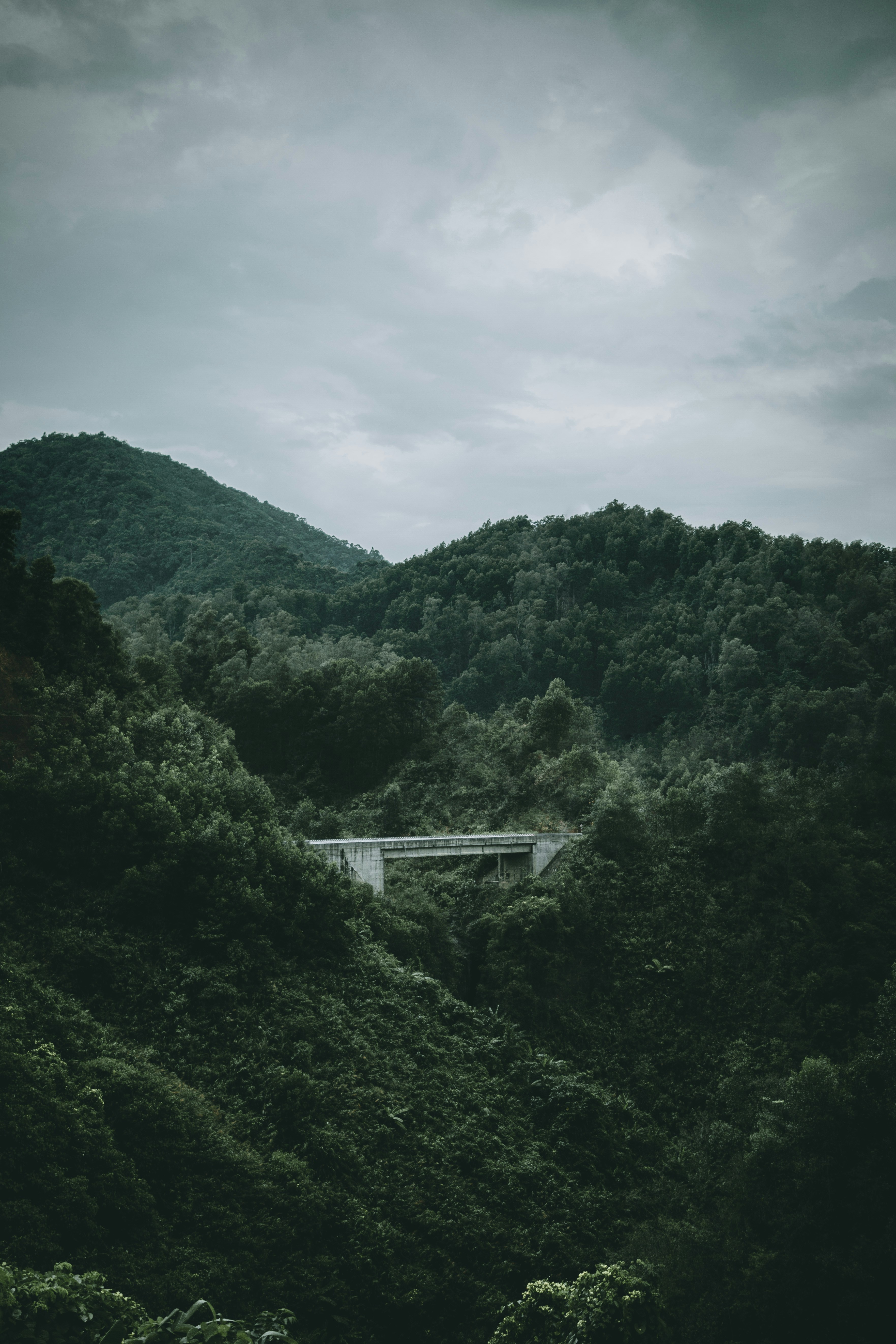 Photo by louis_moncouyoux