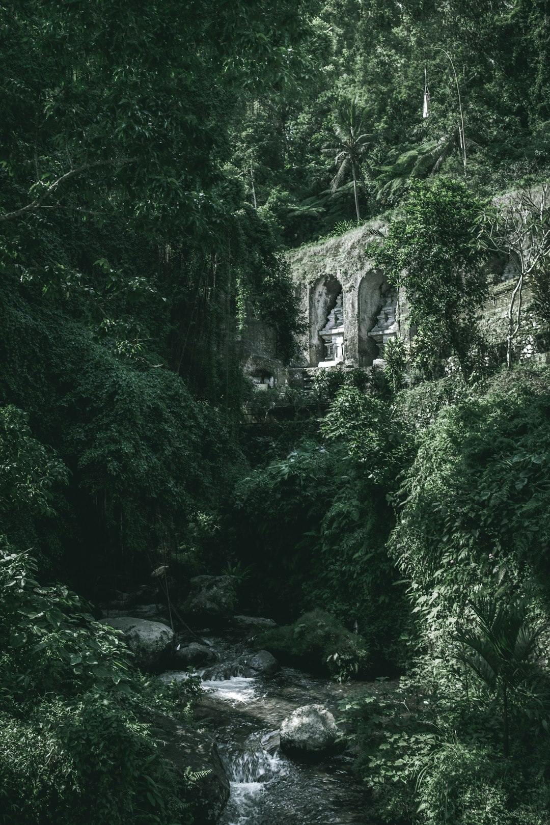 Natural landscape photo spot Bali Danau Tamblingan