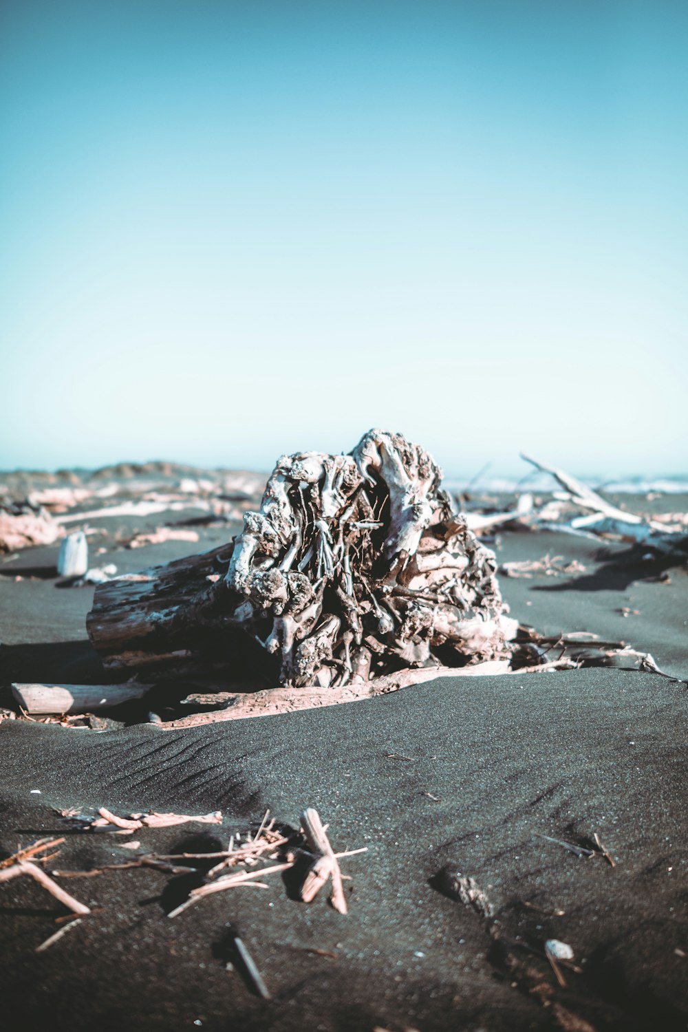 uma pilha de madeira sentada em cima de uma praia de areia