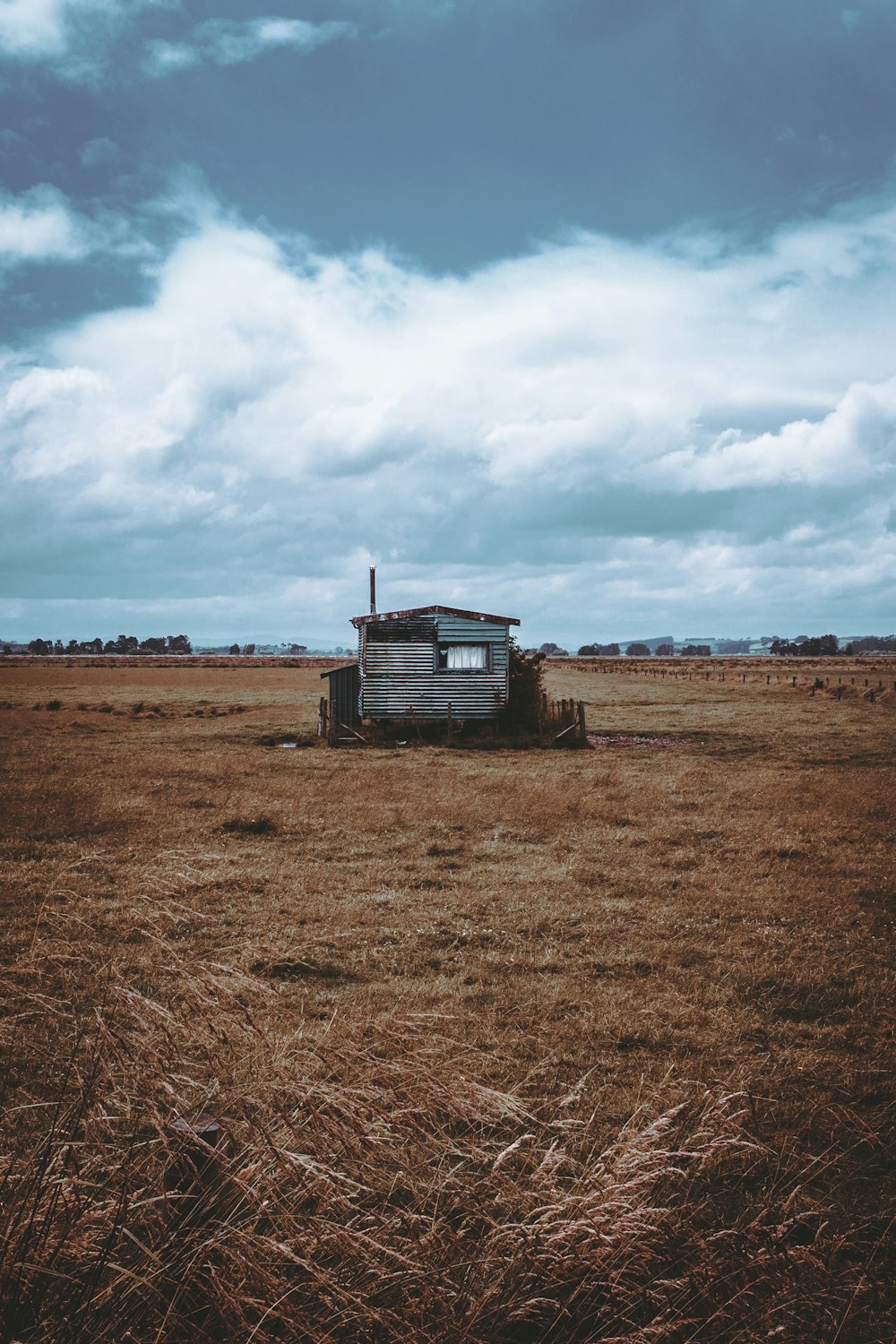 a truck in a field with a sky background