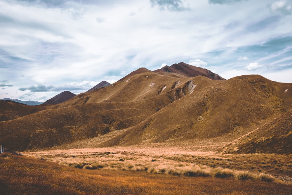 a grassy field with mountains in the background