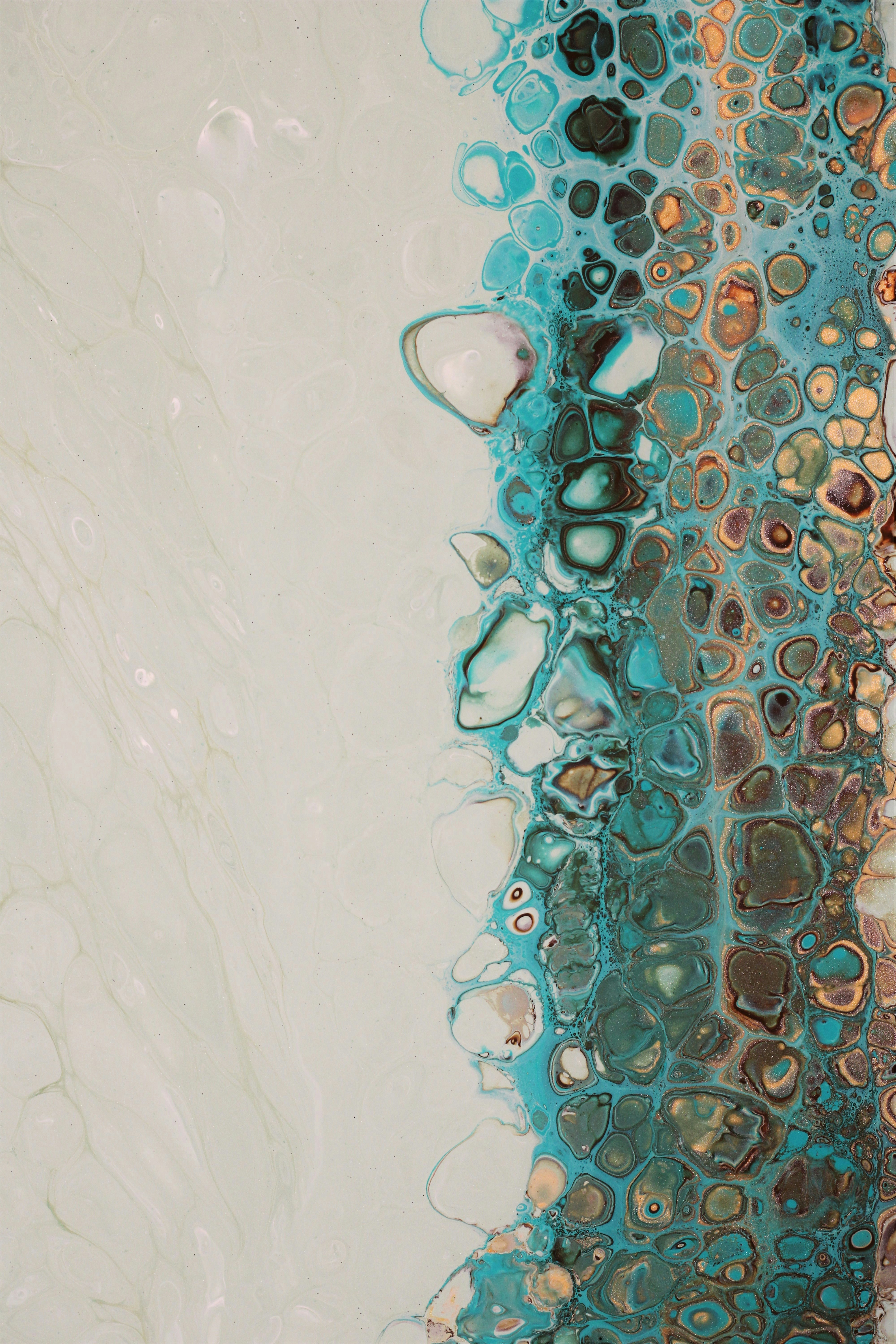 Photo by susan_wilkinson