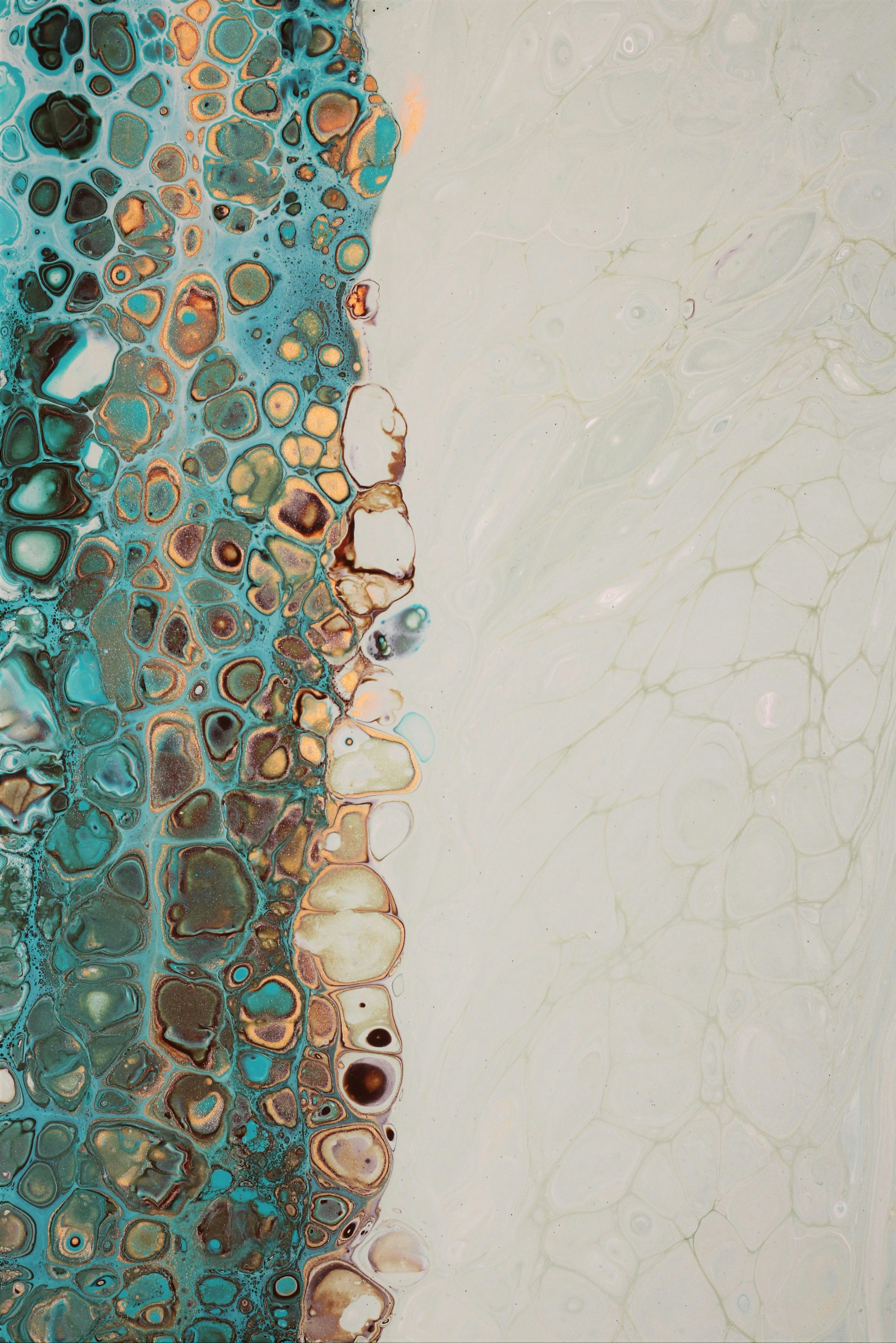 Photo by susan_wilkinson