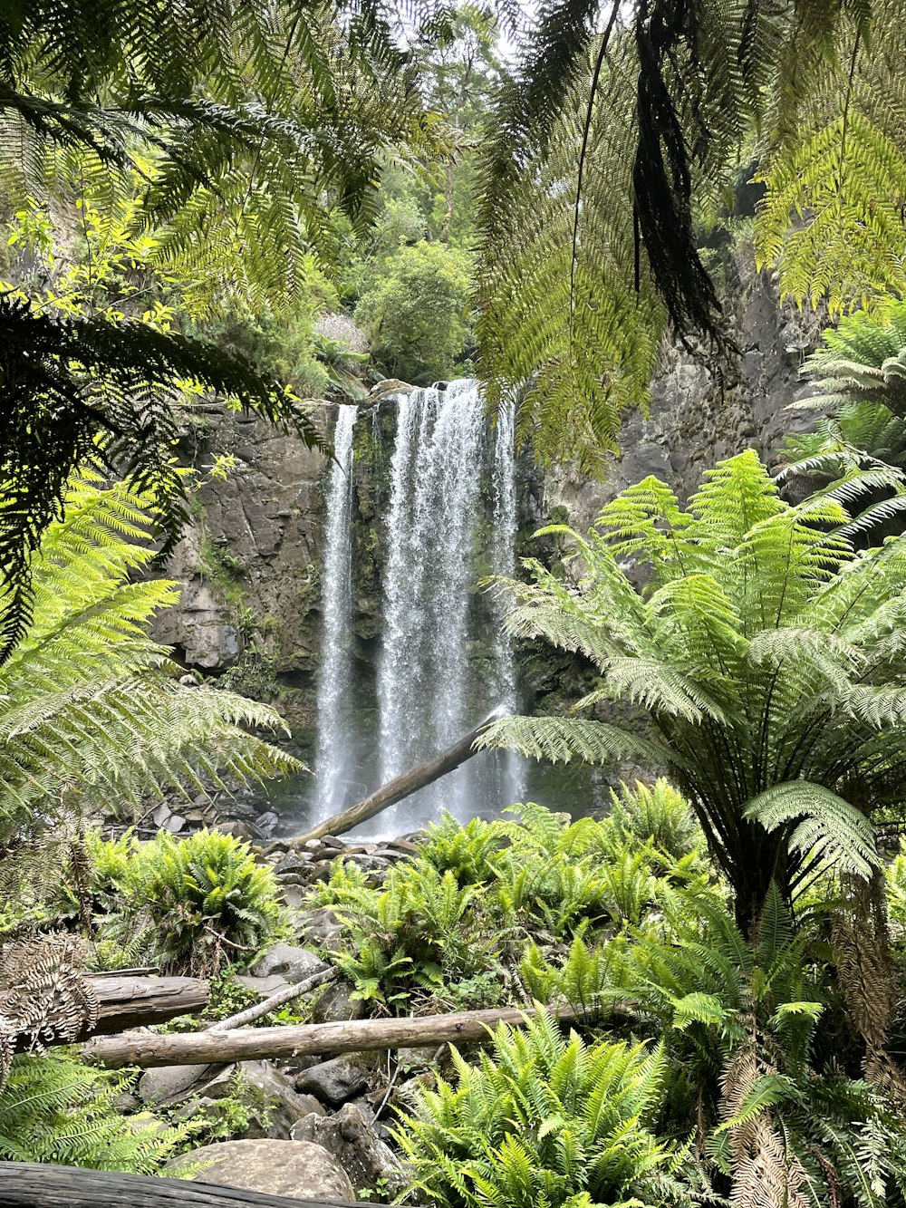a waterfall surrounded by lush green plants and trees