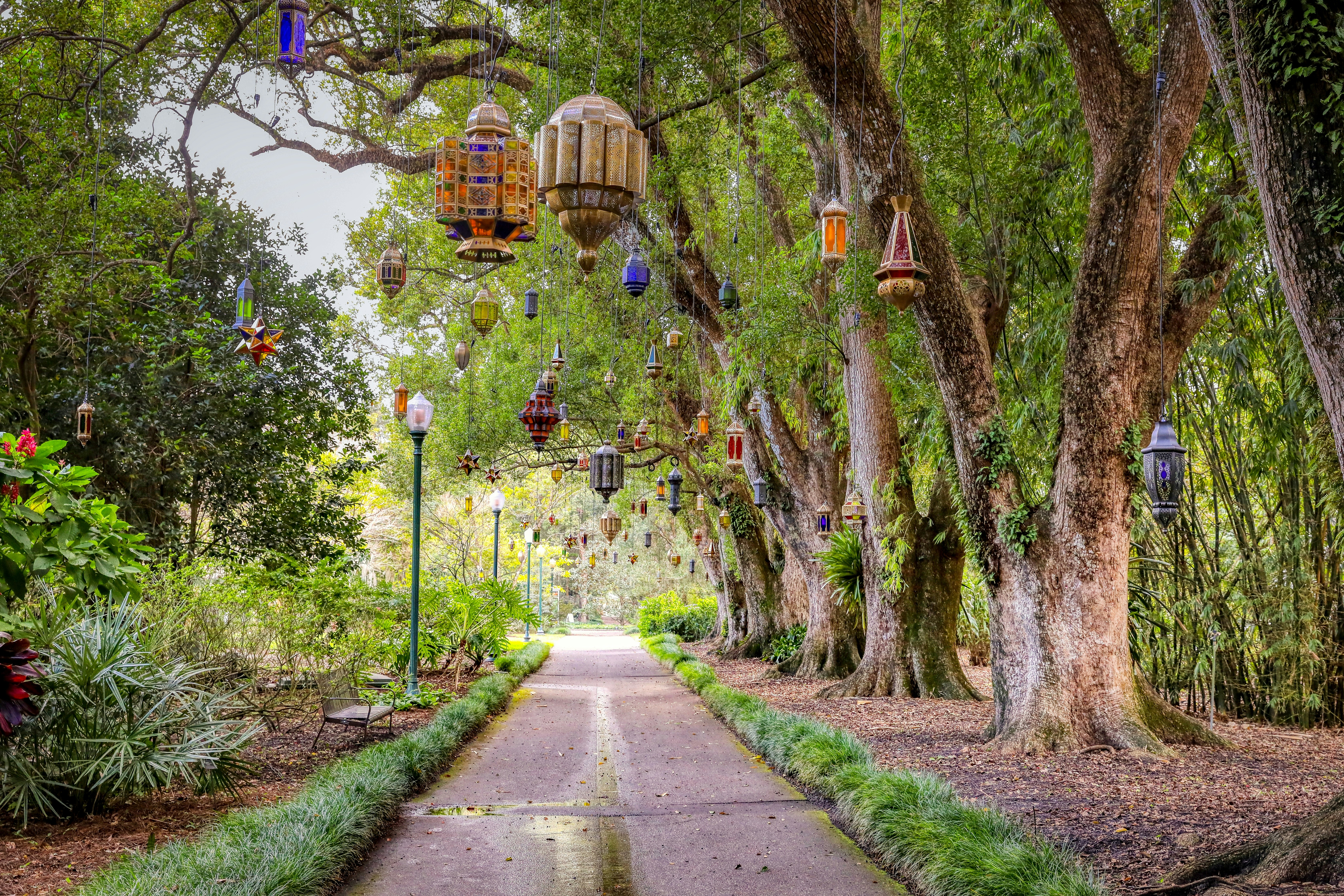 A lovely day at my favorite local botanical garden.