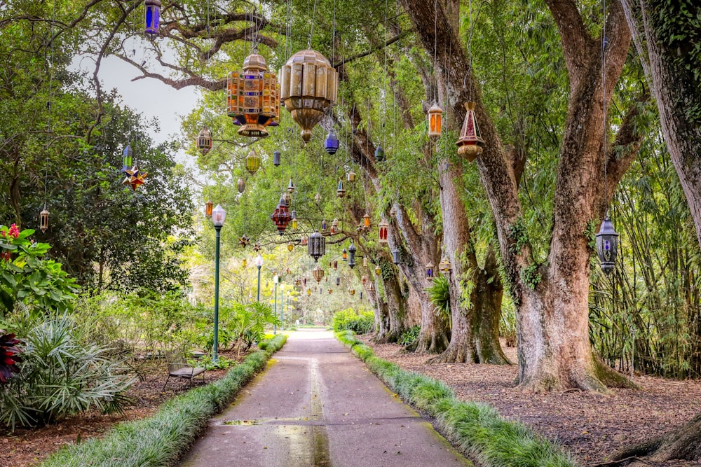 a pathway lined with lots of trees covered in bird cages