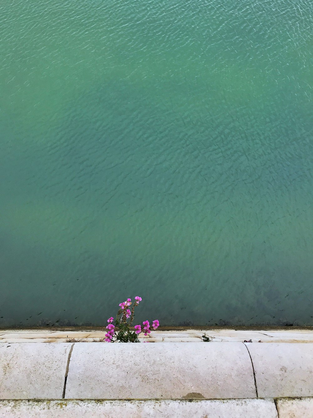 un ramo de flores que están sentadas en una repisa