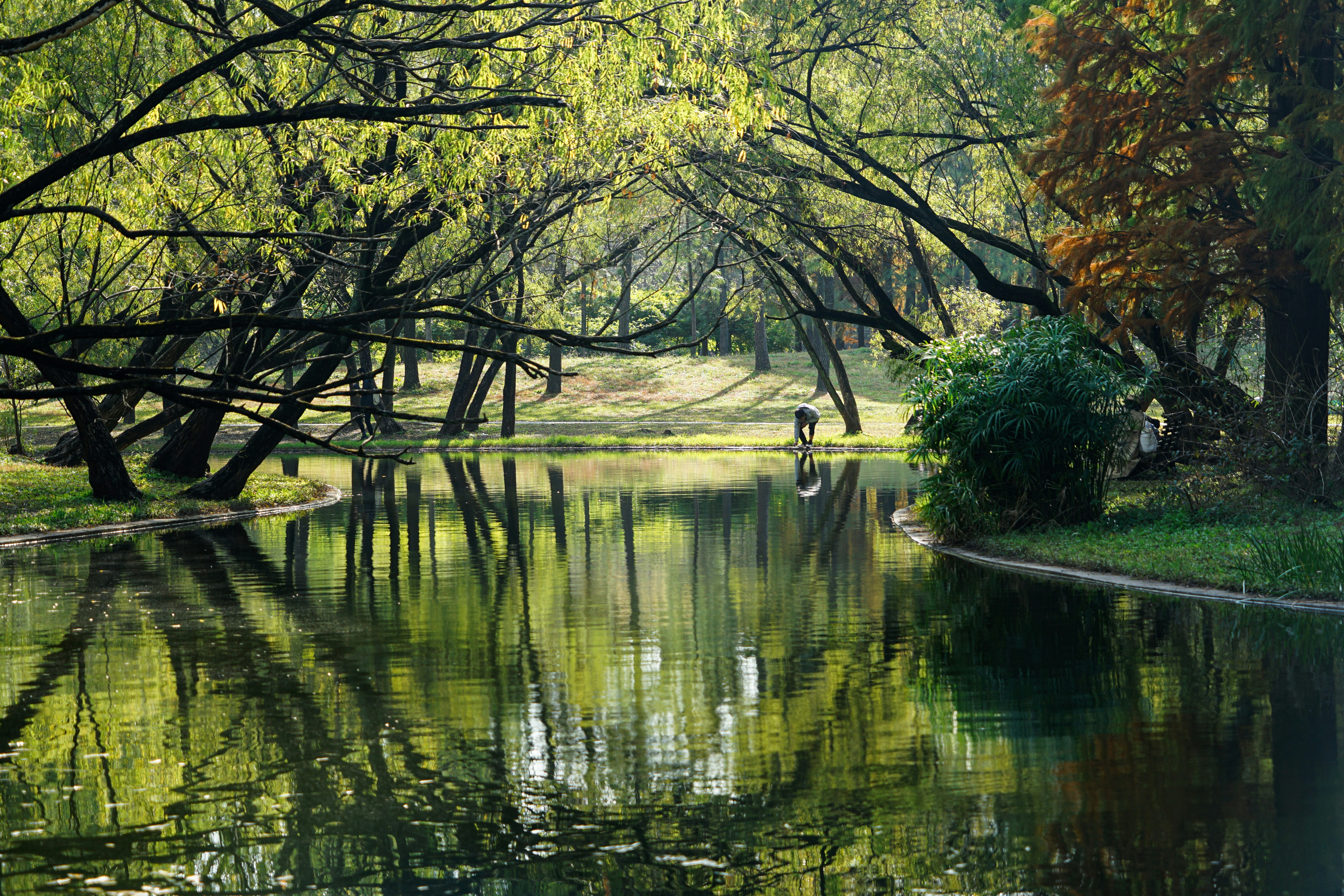 Photo by leticia_sol