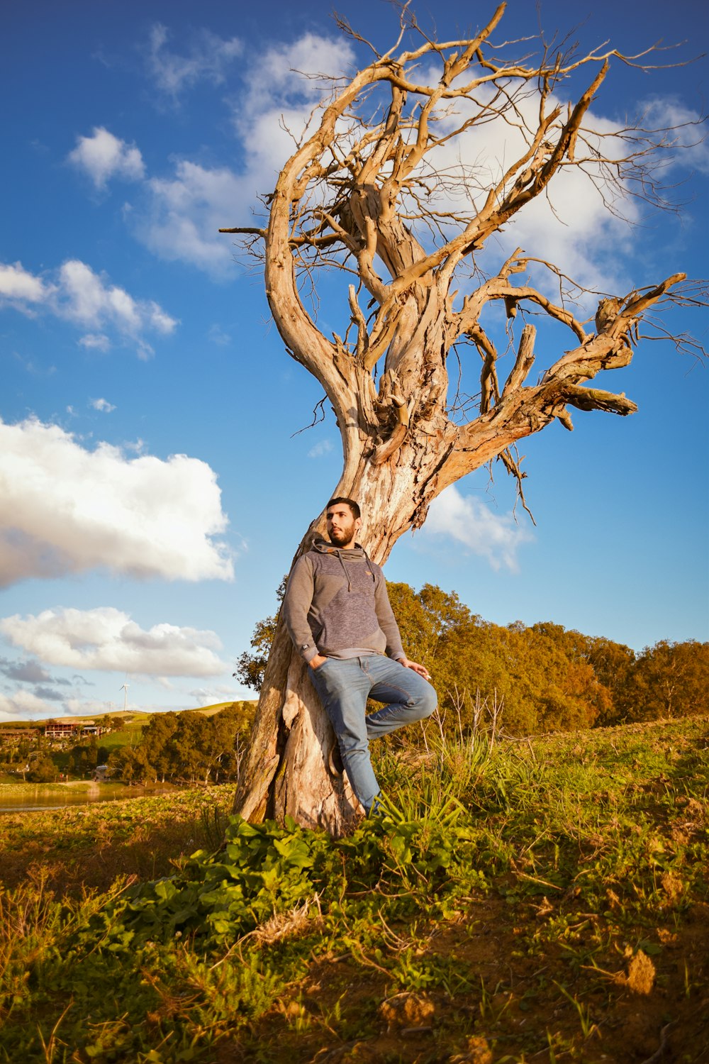 a man sitting on top of a tree in a field