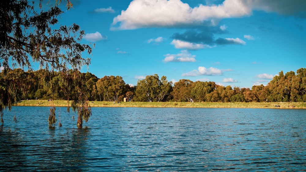 a large body of water surrounded by trees