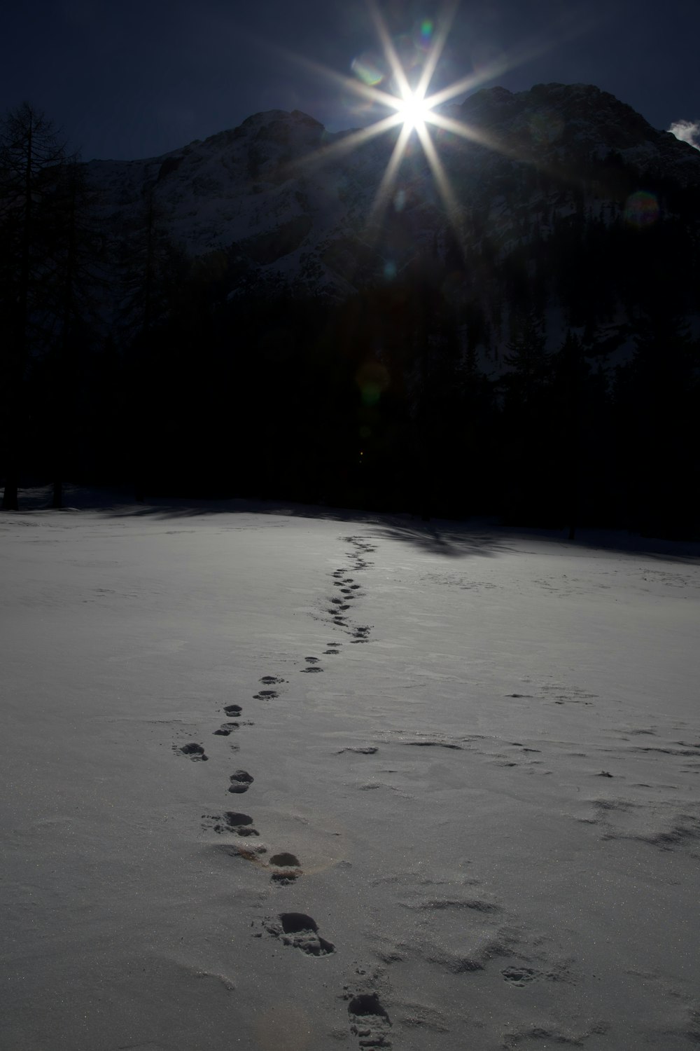 the sun is shining over a snow covered field