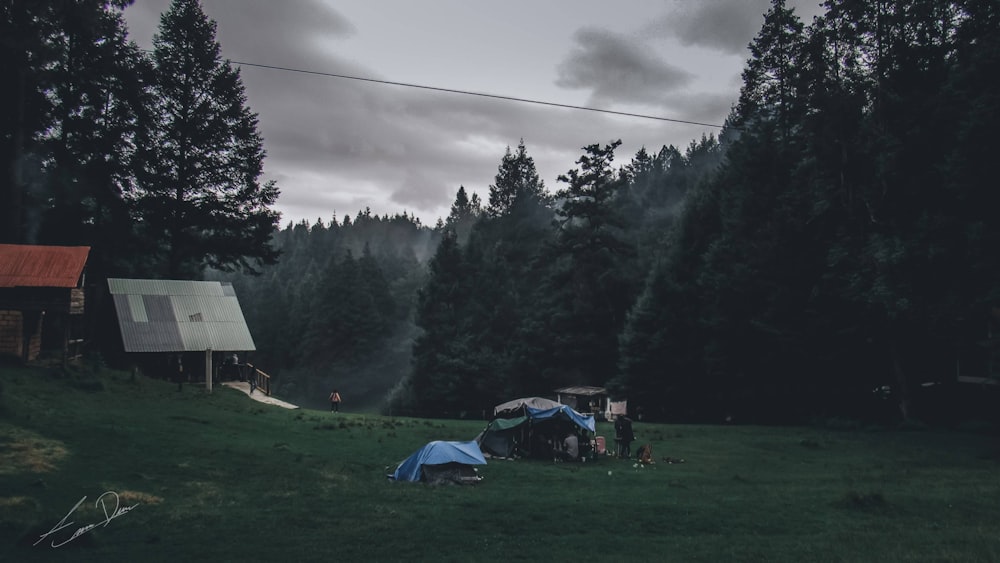 a couple of tents sitting on top of a lush green field