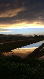A serene outdoor scene at golden hour, highlighting cinematic lighting and composition.