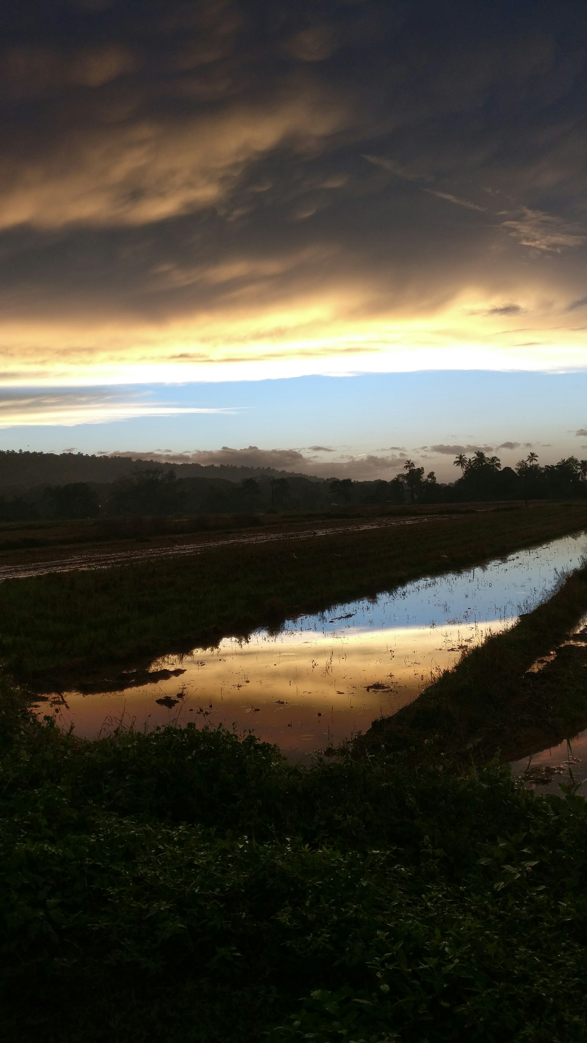 A vibrant landscape shot at golden hour, showcasing rich colors and a serene atmosphere that invites reflection.