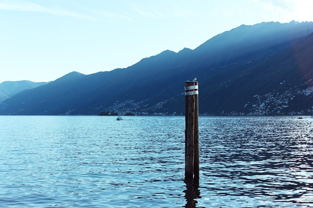 a wooden pole sticking out of the water