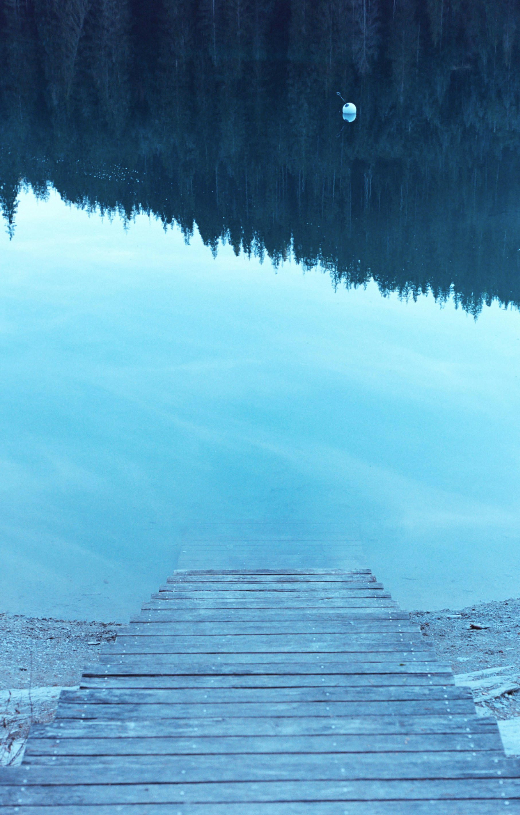 Photo by laurenceziegler