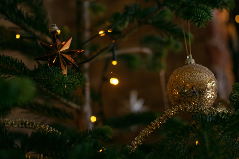 a close up of a christmas tree with a star ornament