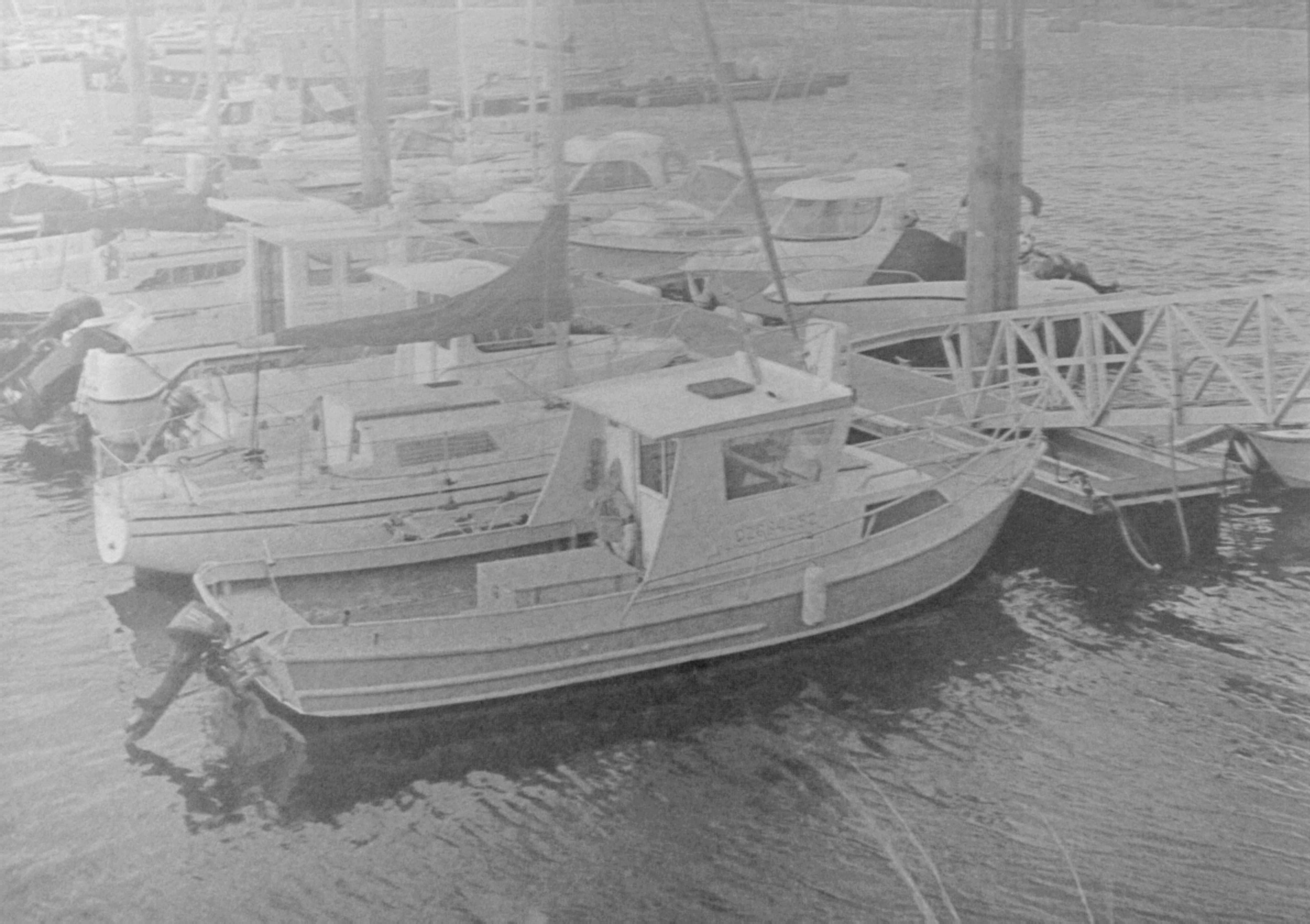 Photo by without_psd