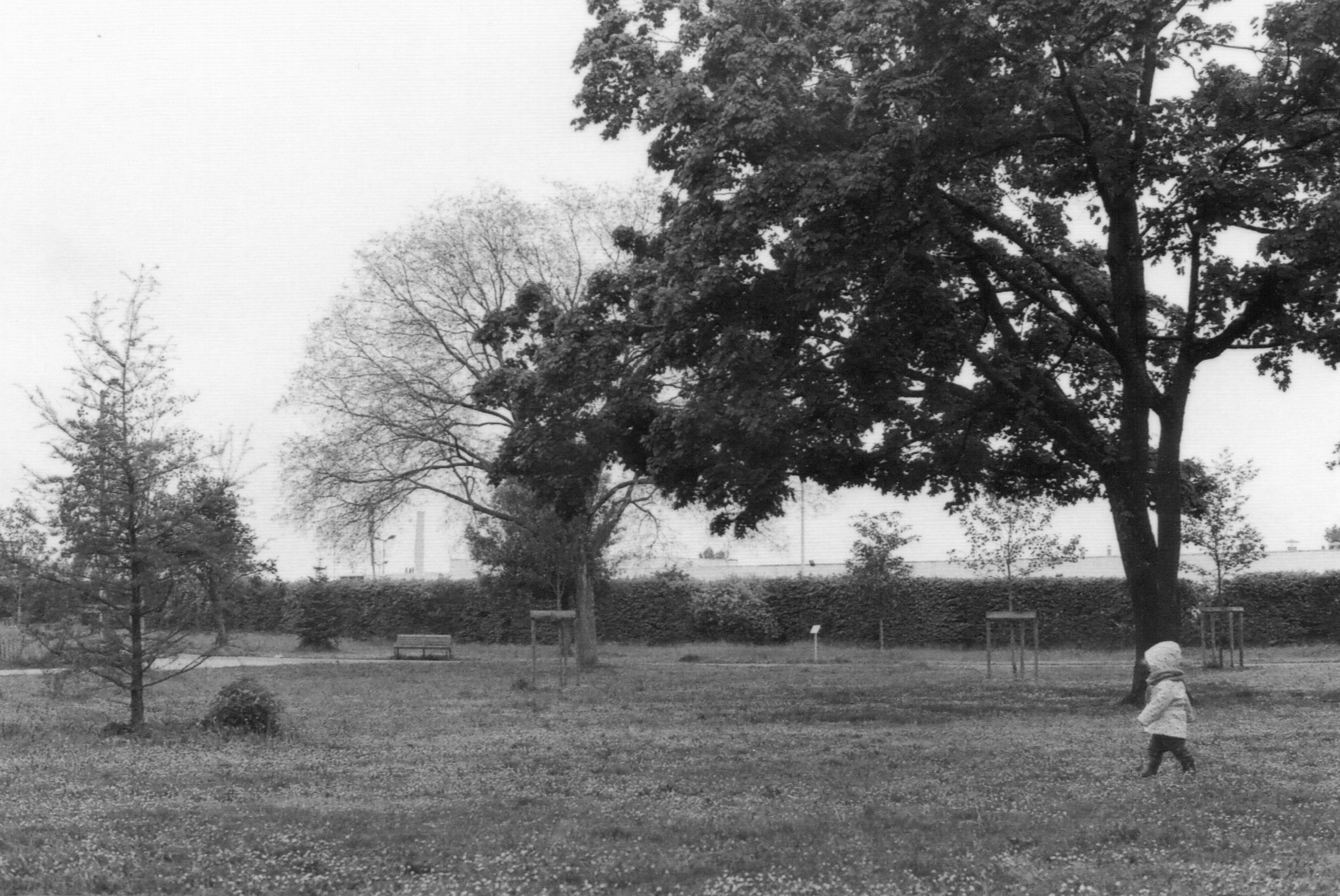 Photo by without_psd