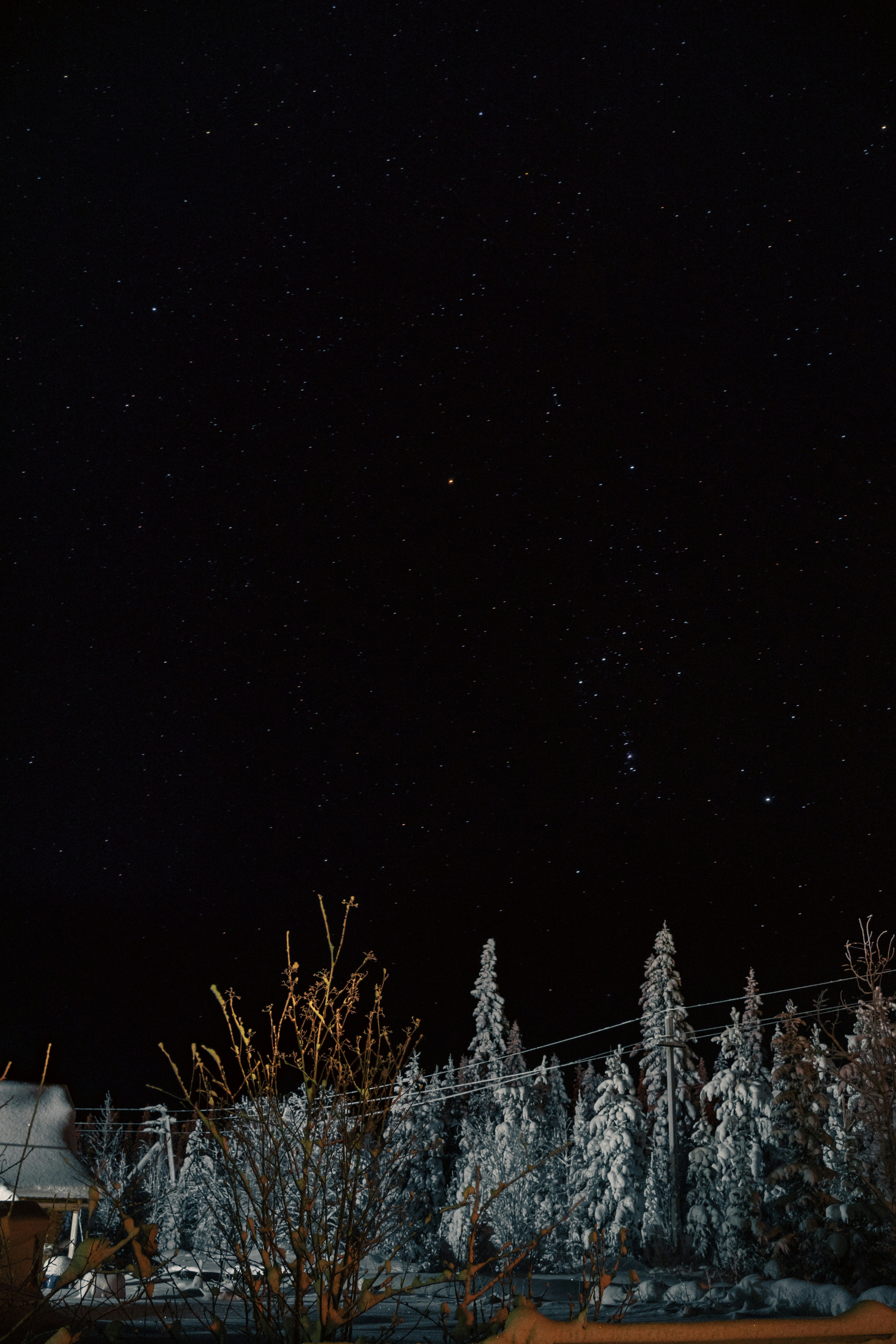 Photo by shklyaevmax